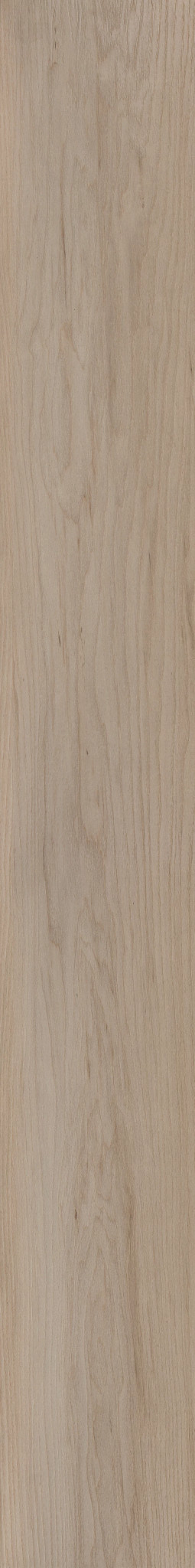 COASTAL DUNE MAPLE 1TO1