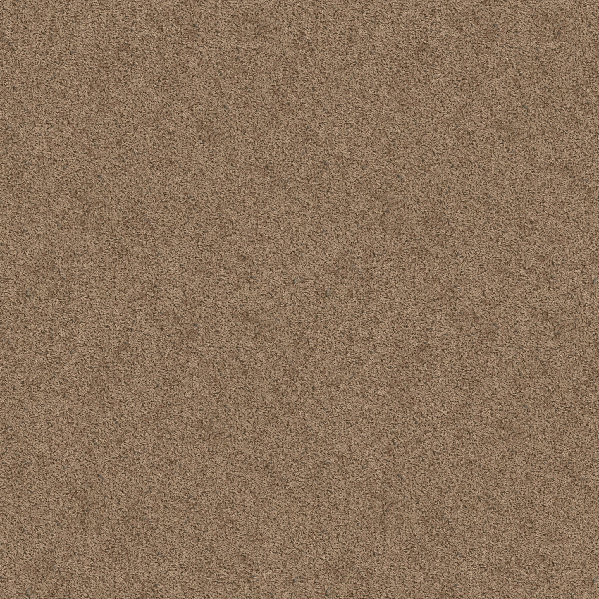 EXPECT MORE (S) VINTAGE TAN MAIN