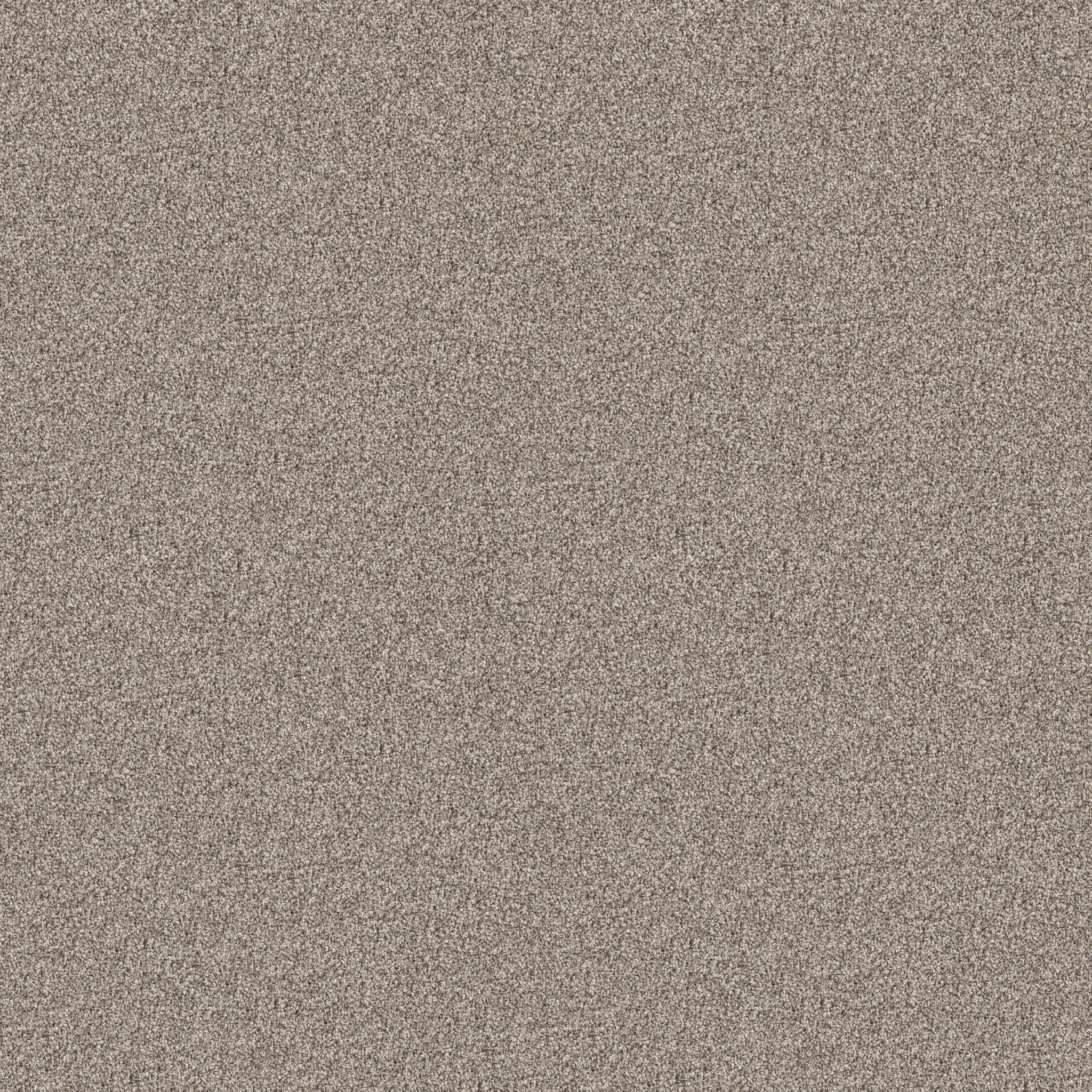 INFLUENCER SANDSTONE MAIN