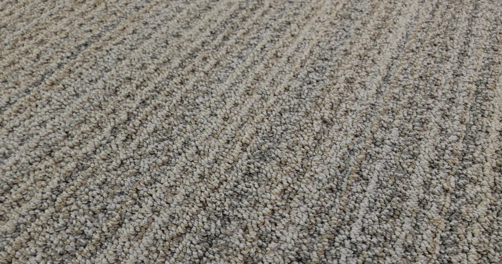 SUNDANCE RAINY SEASON 360PROD