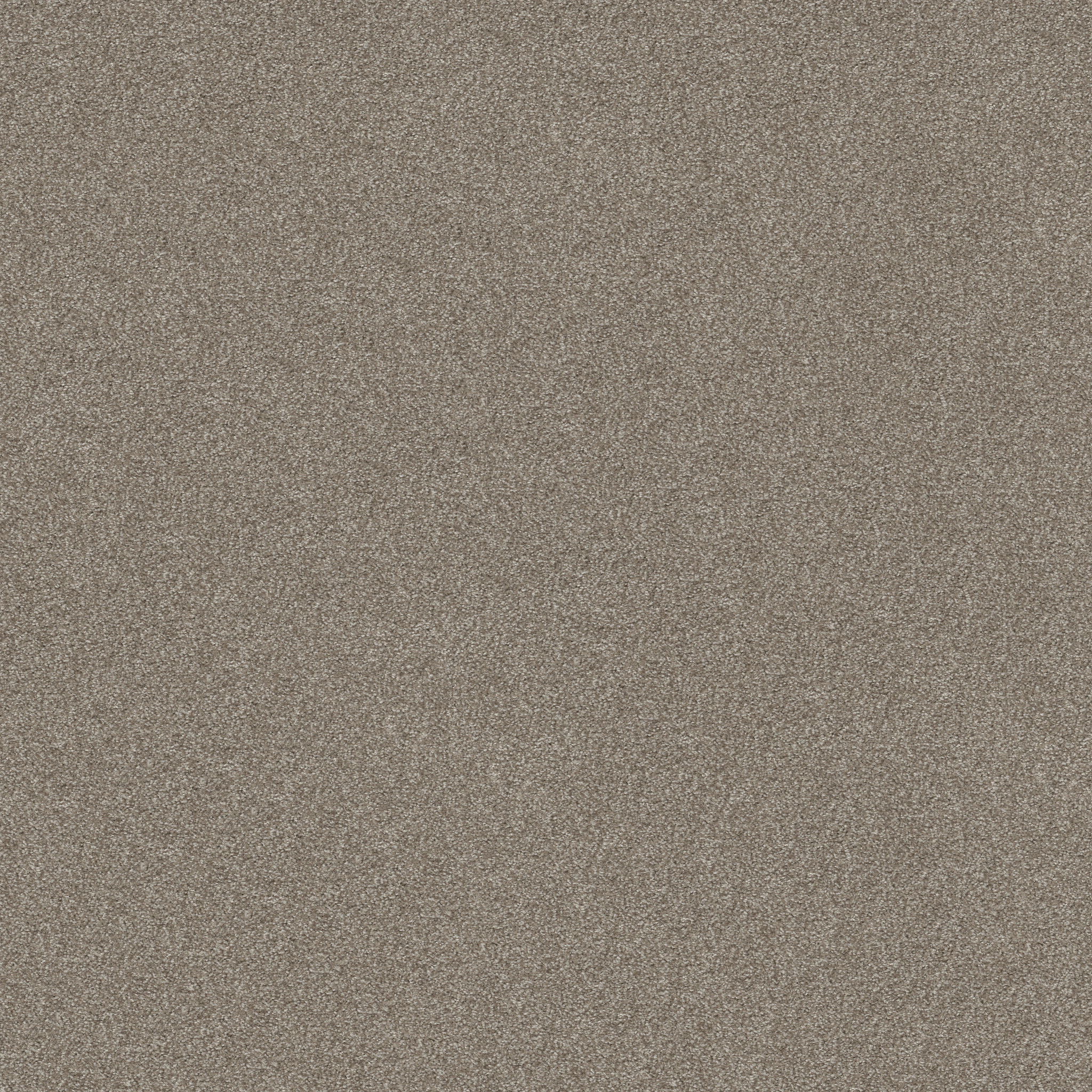 MOMENT OF TRUTH COCOA MAIN