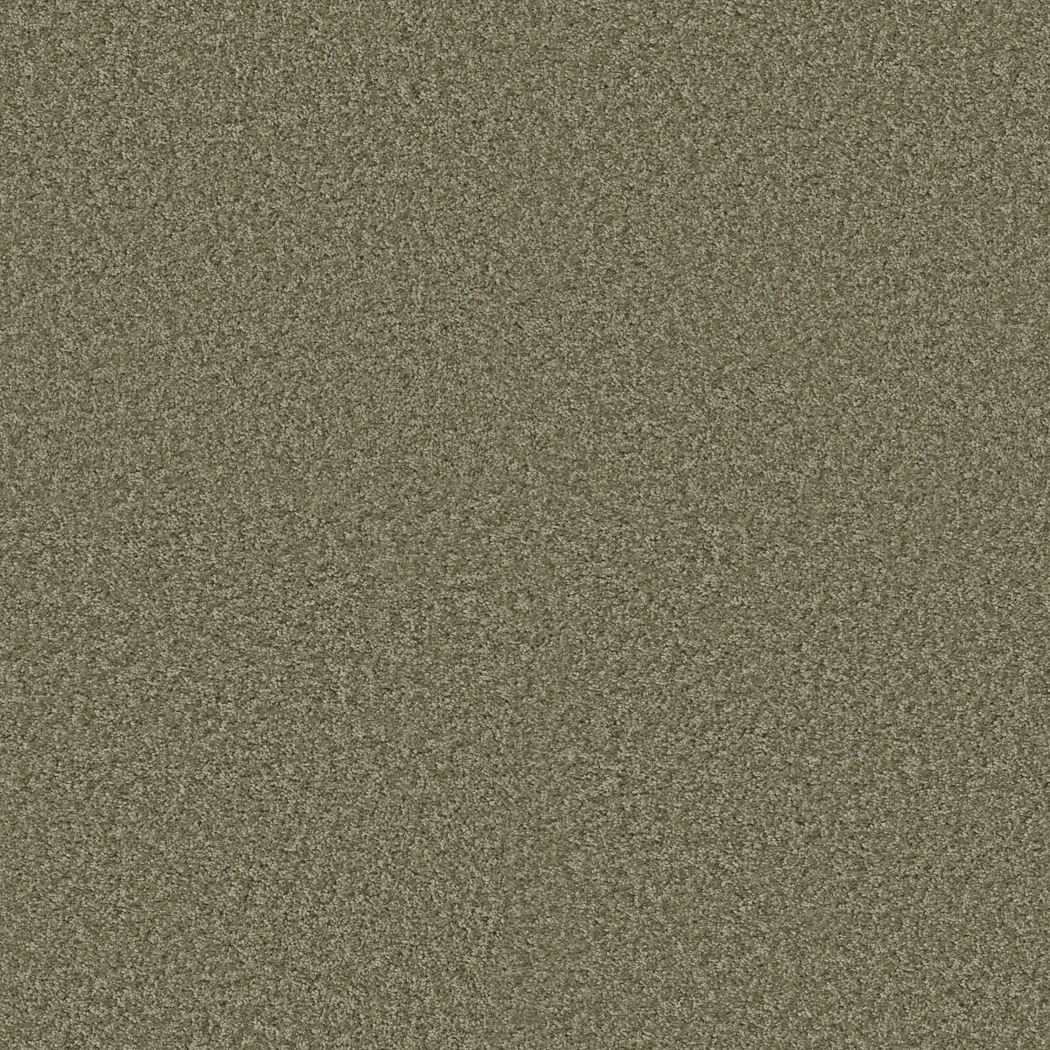 KENTLAND 12' SPRING VALLEY MAIN