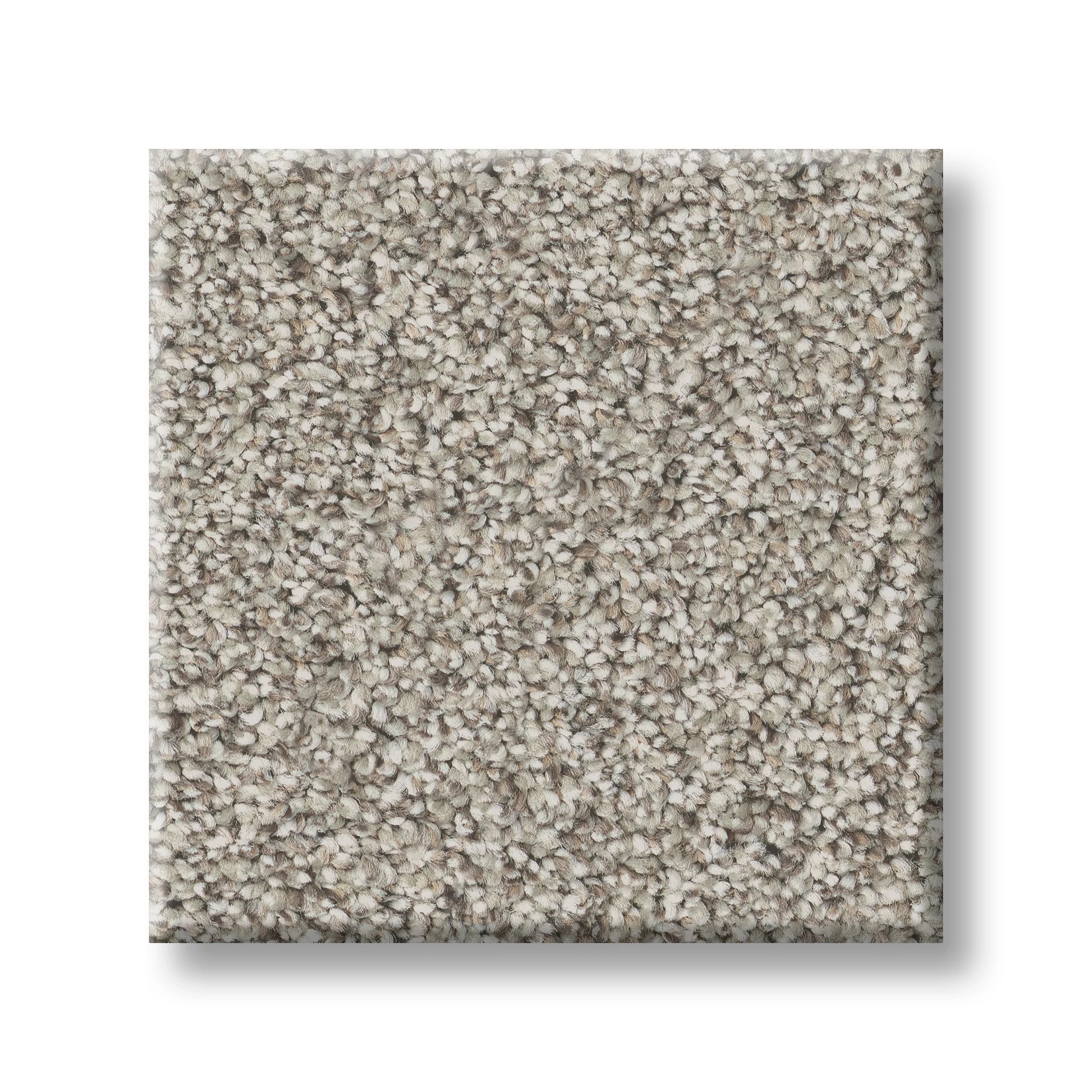 TIMELESS TONE FROSTED SAGE SWATCH