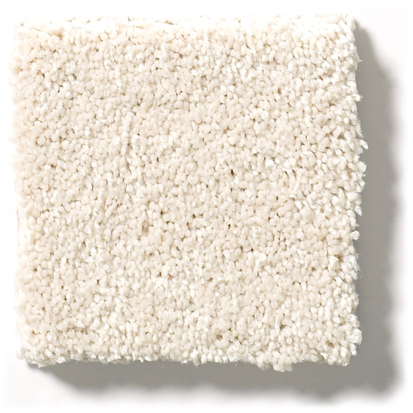 BASIC RULES SNOWFALL SWATCH