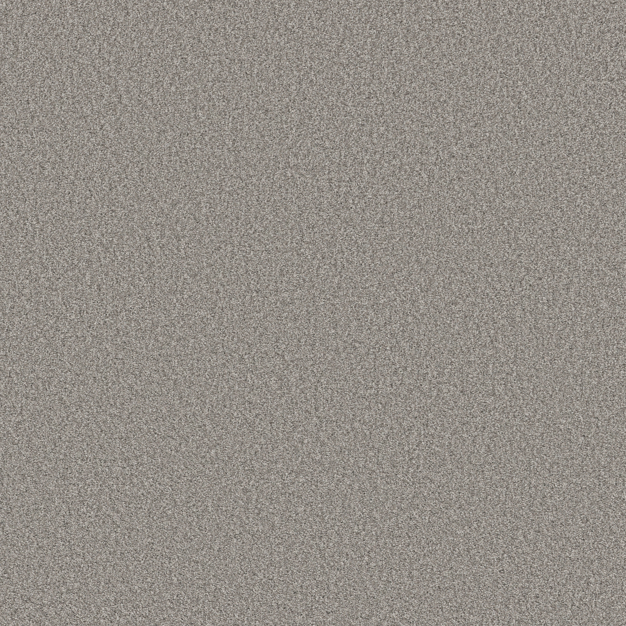 TONAL COMFORT I SUNDAY STROLL MAIN