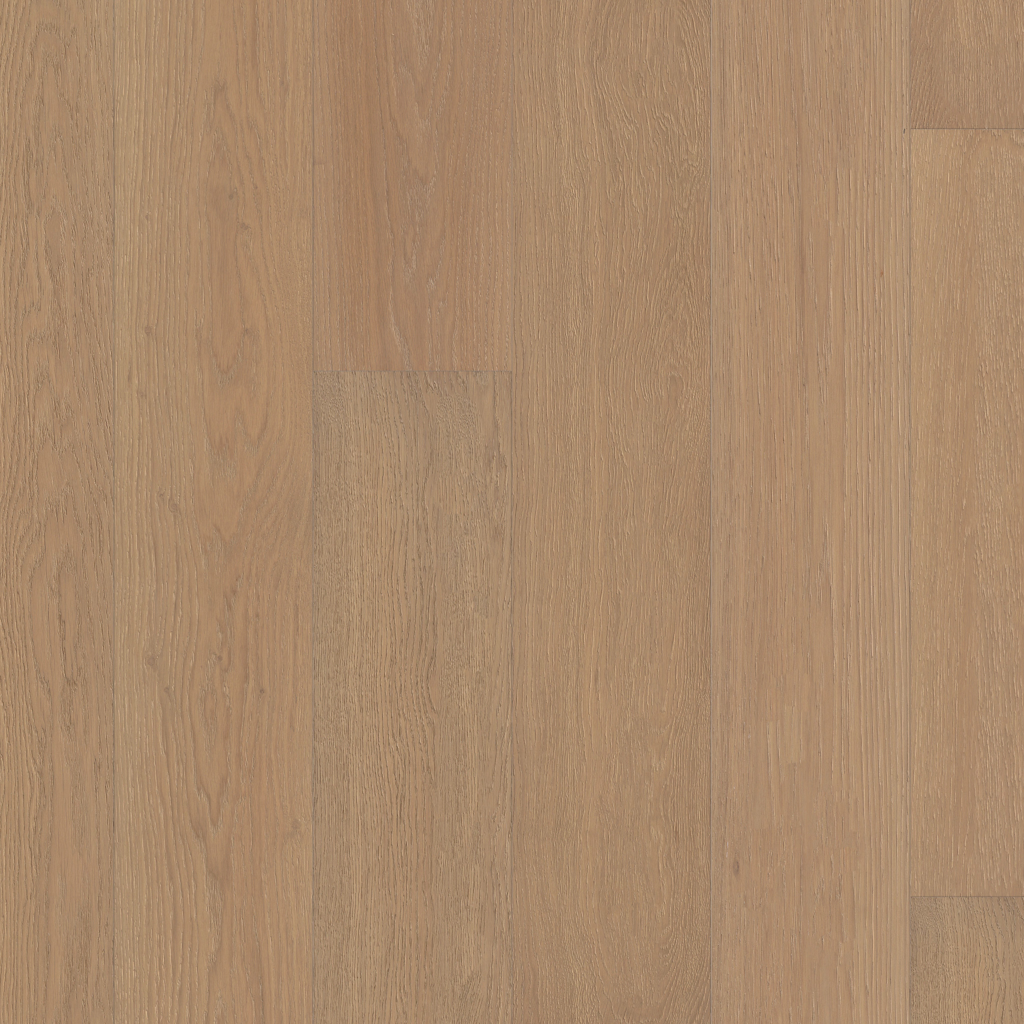 CARPENTRY OAK TOASTED MAIN