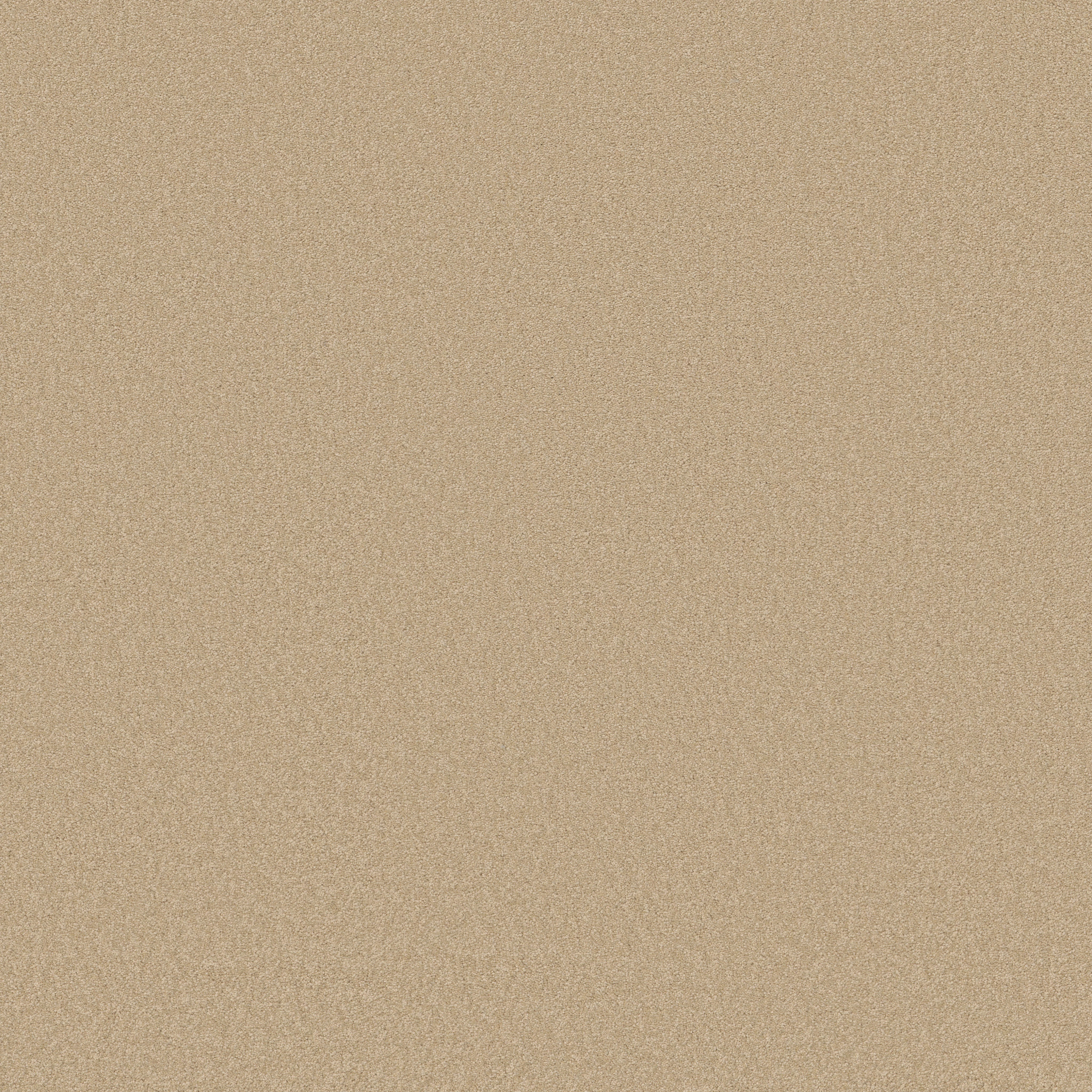 CORNER CAFE 12' CASHEW MAIN