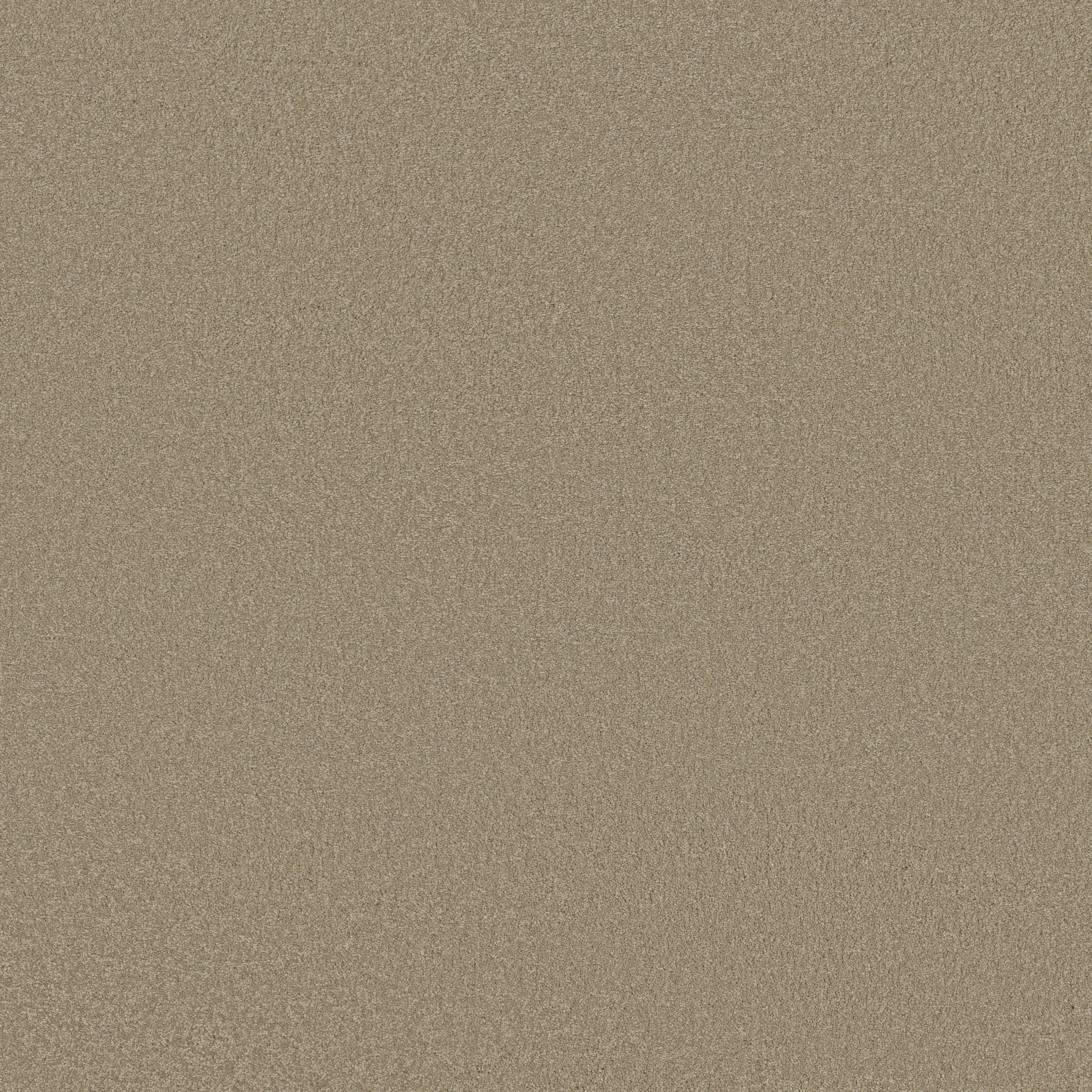 SANDY HOLLOW CLASSIC IV 12' SOFT SHADOW MAIN