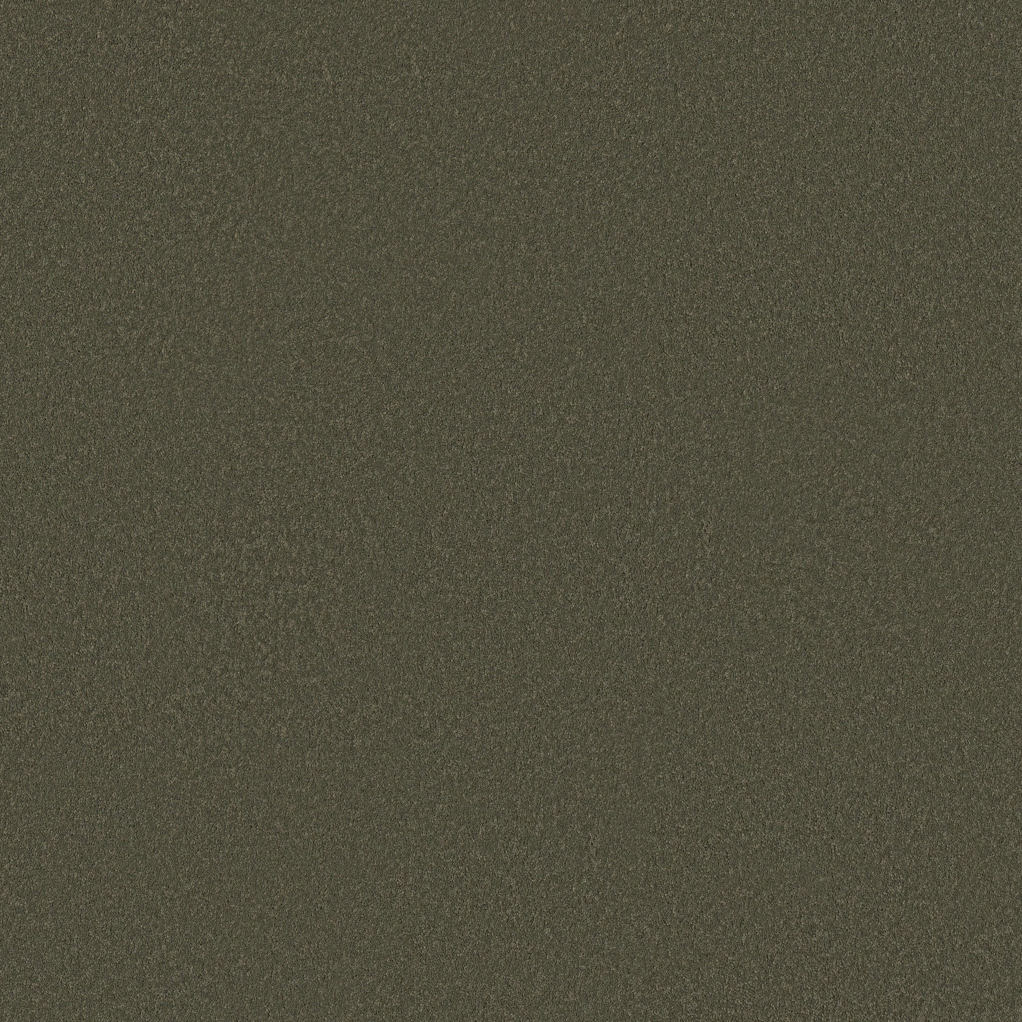 SMOOTH TONE BLUE OLIVE TREE MAIN