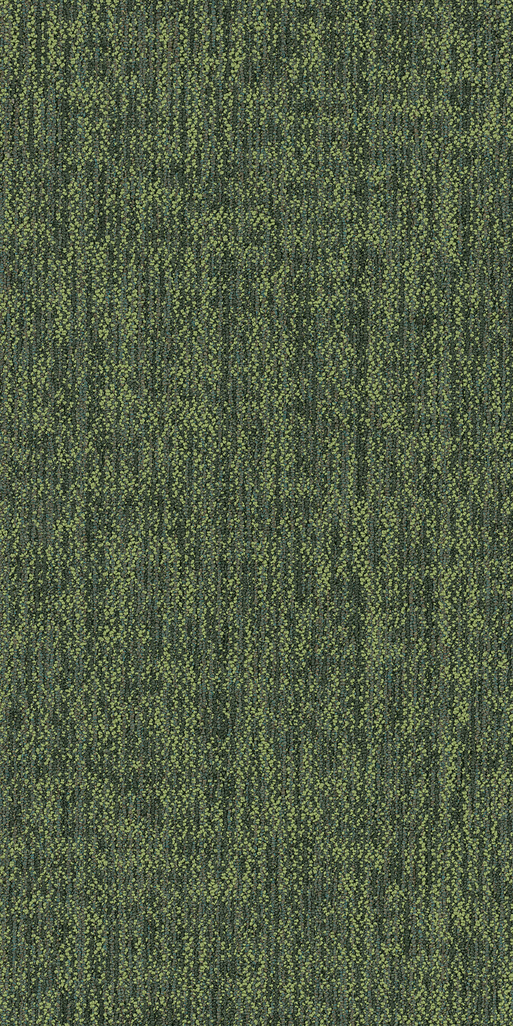 CRAZY-SMART-54841-WITTY-00310-main-image