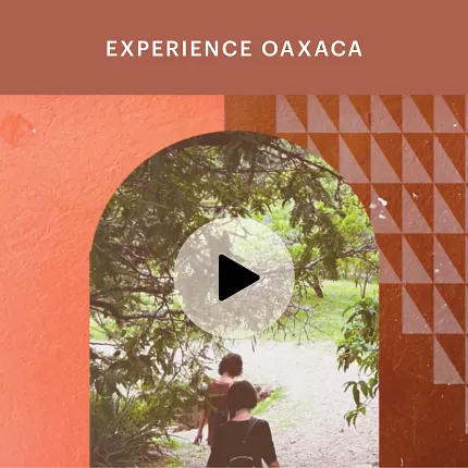 Experience Oaxaca Video Thumbnail Experience Oaxaca video thumbnail with an archway and greenery