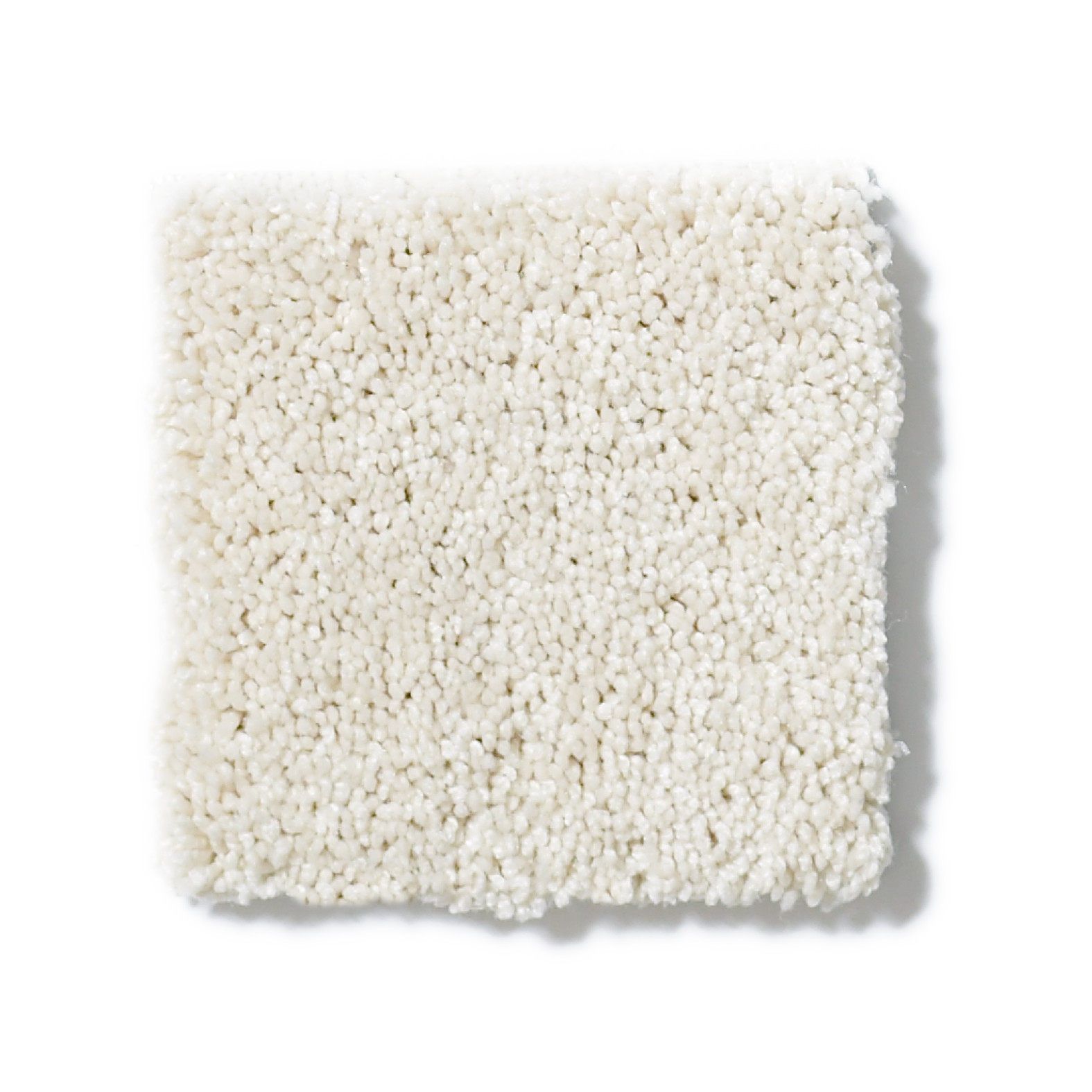 KEEN SENSES I IVORY PAPER SWATCH