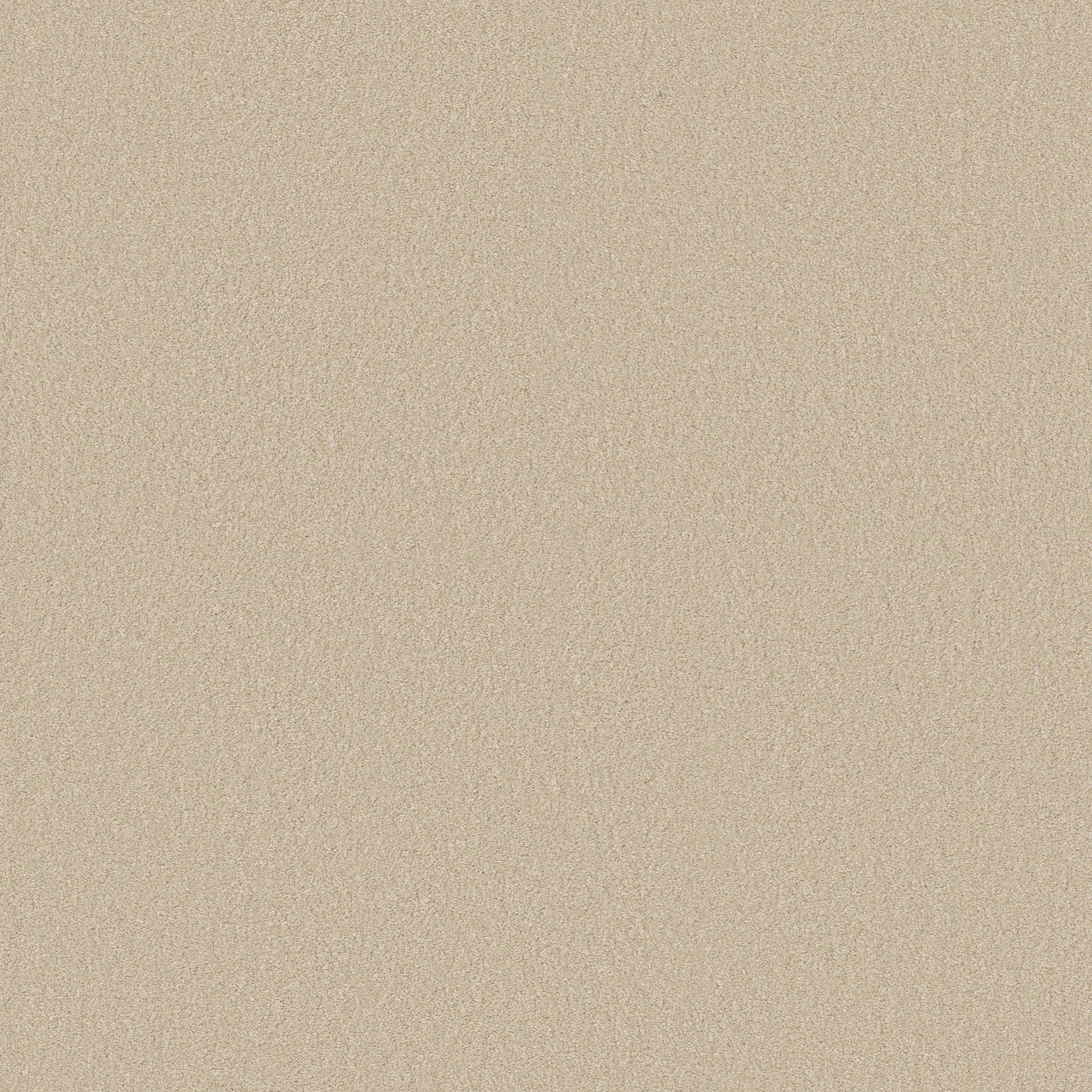 ULTIMATE EXPRESSION 15' PUDDING MAIN