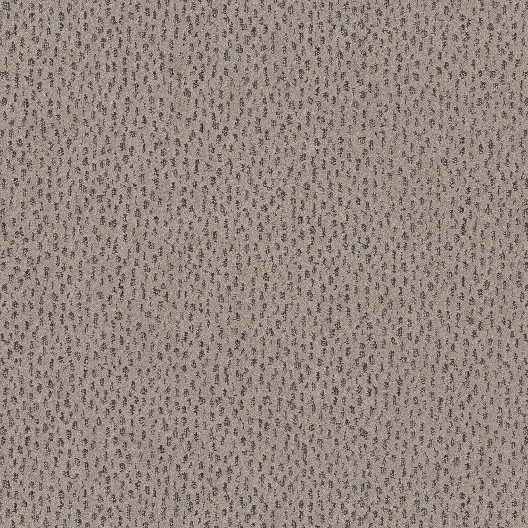 AMBITIOUS MOCHA MAIN