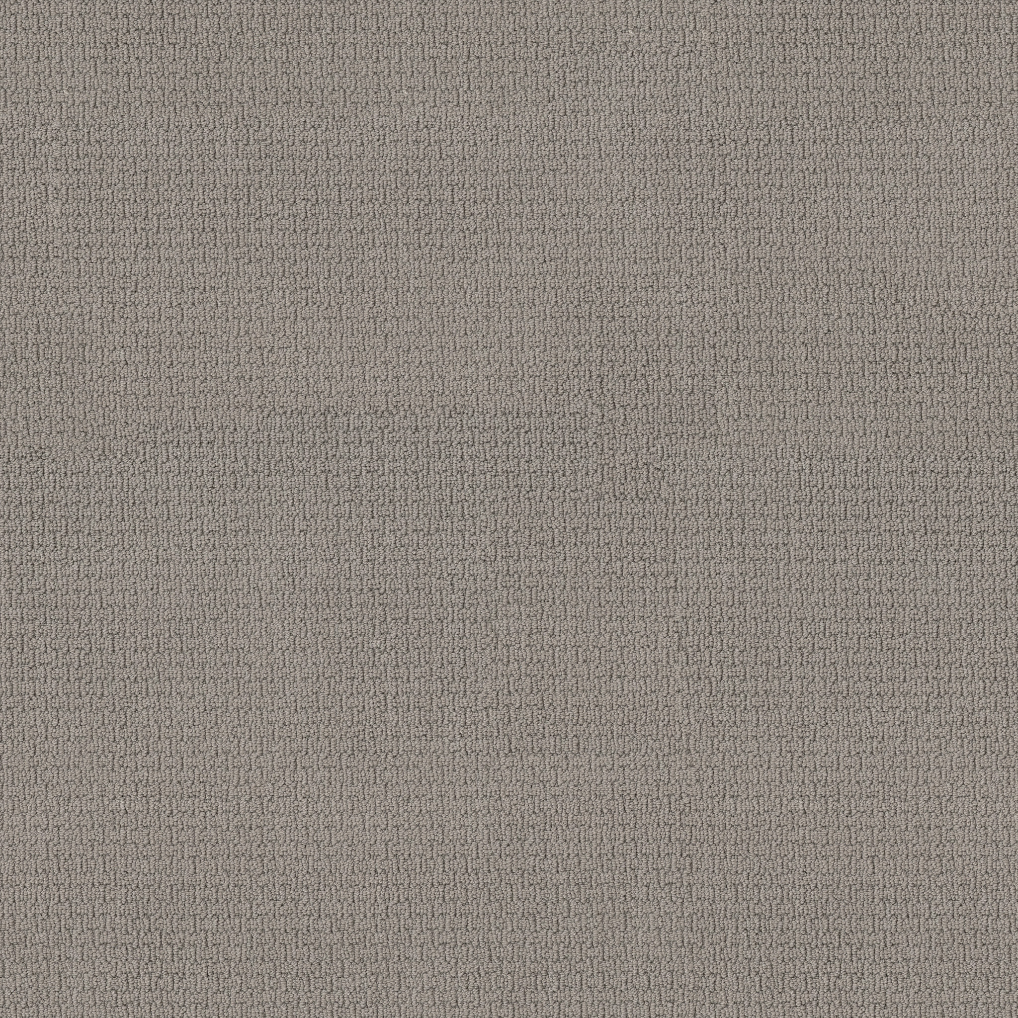 carpetcompany サーマル Casual Life - 100% ANSO® Nylon in Valley Mist | AndersonTuftex