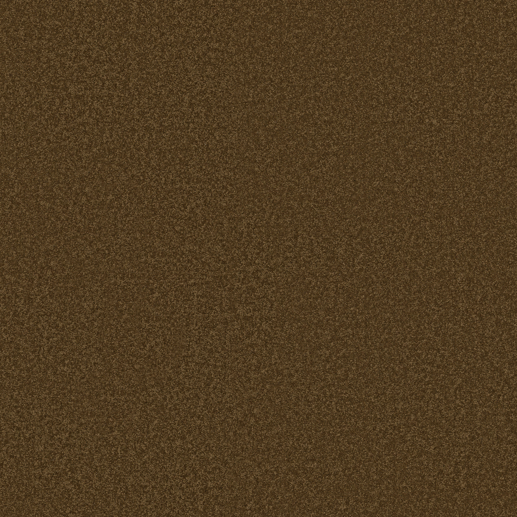 ULTIMATE EXPRESSION 15' TORTOISE SHELL MAIN