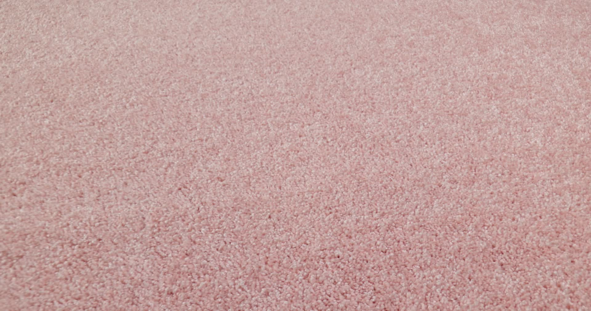 THE BRIGHT SIDE CATS PAJAMAS 360PROD