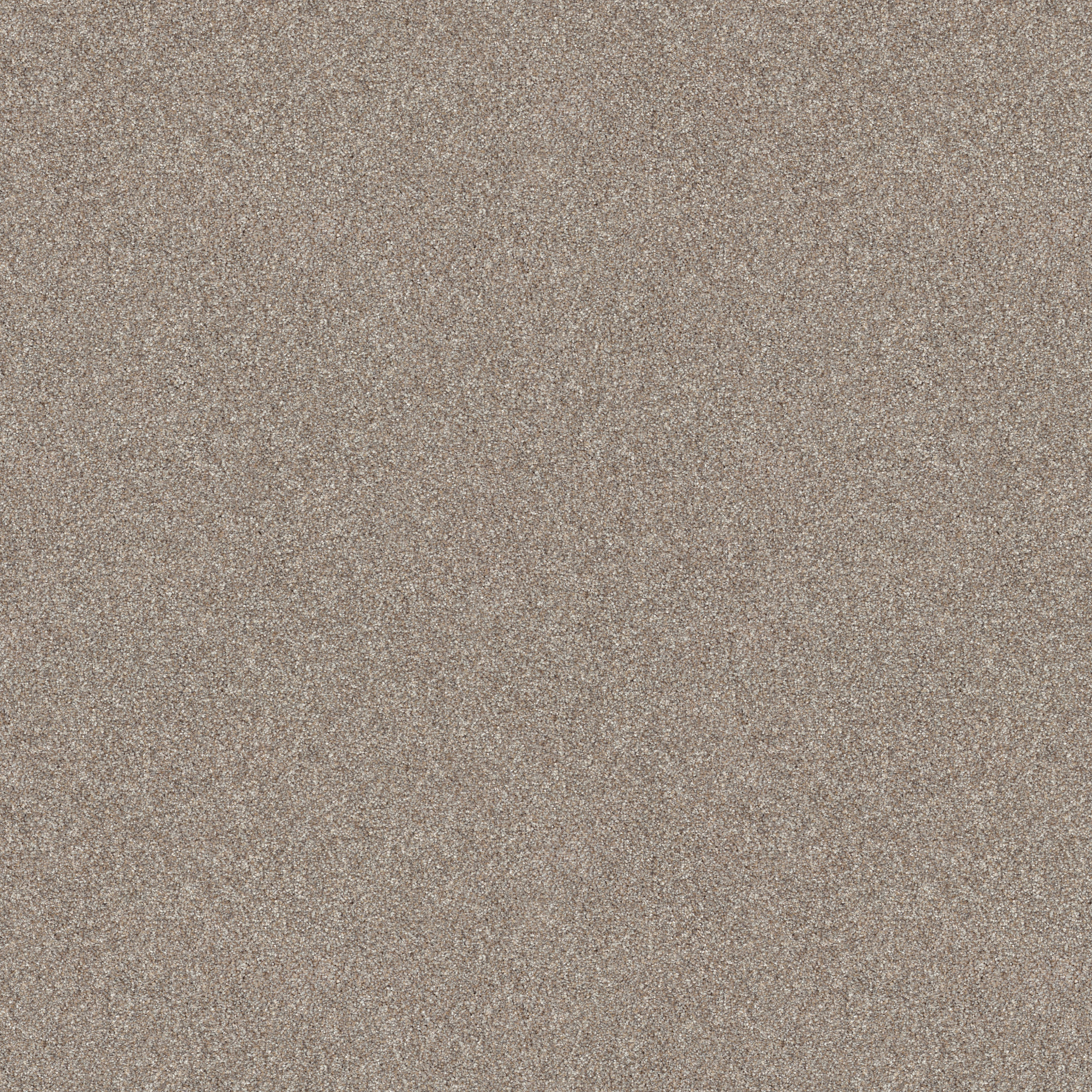 ELEVATED III MUSHROOM MAIN