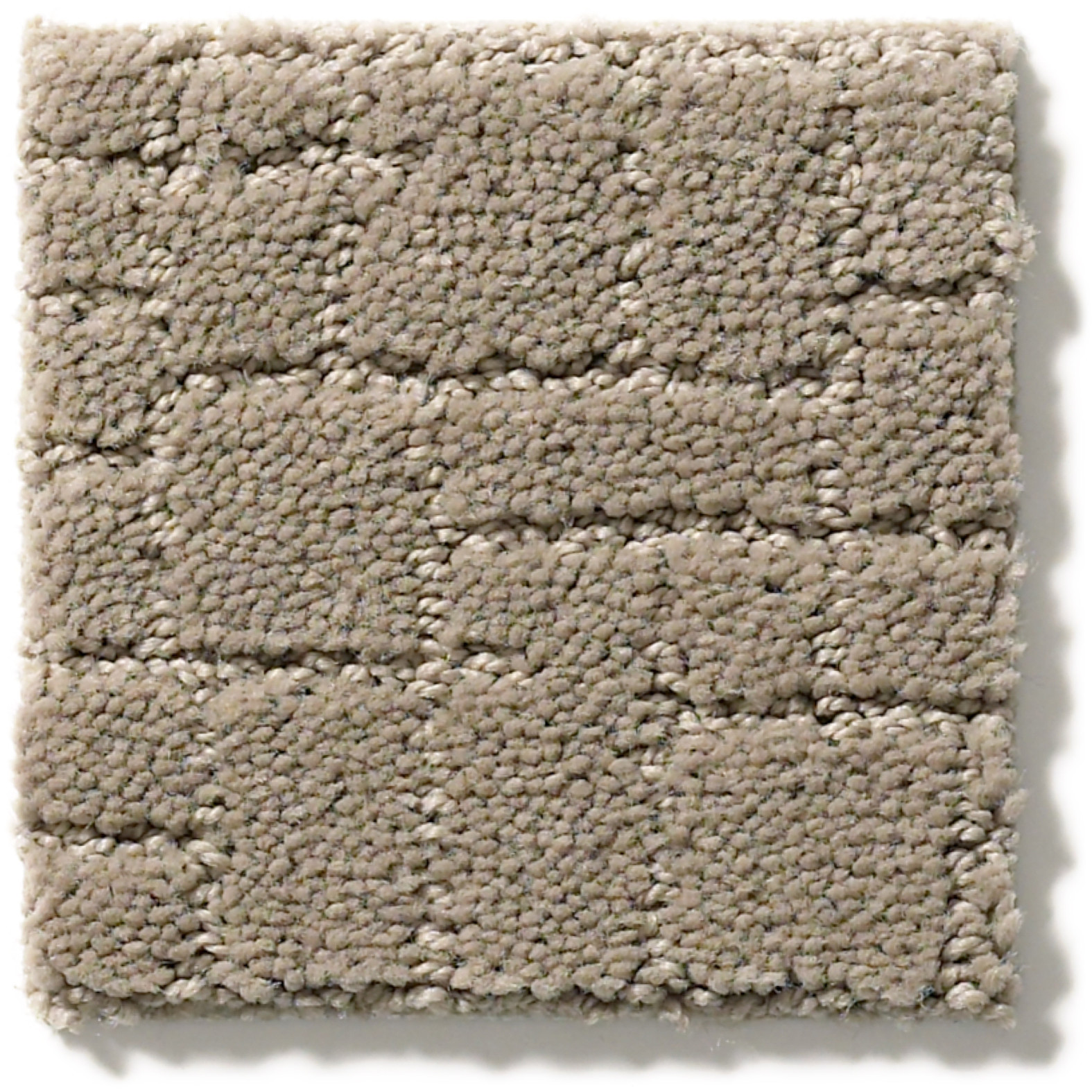 FAUX PAW MOCHA CREAM SWATCH