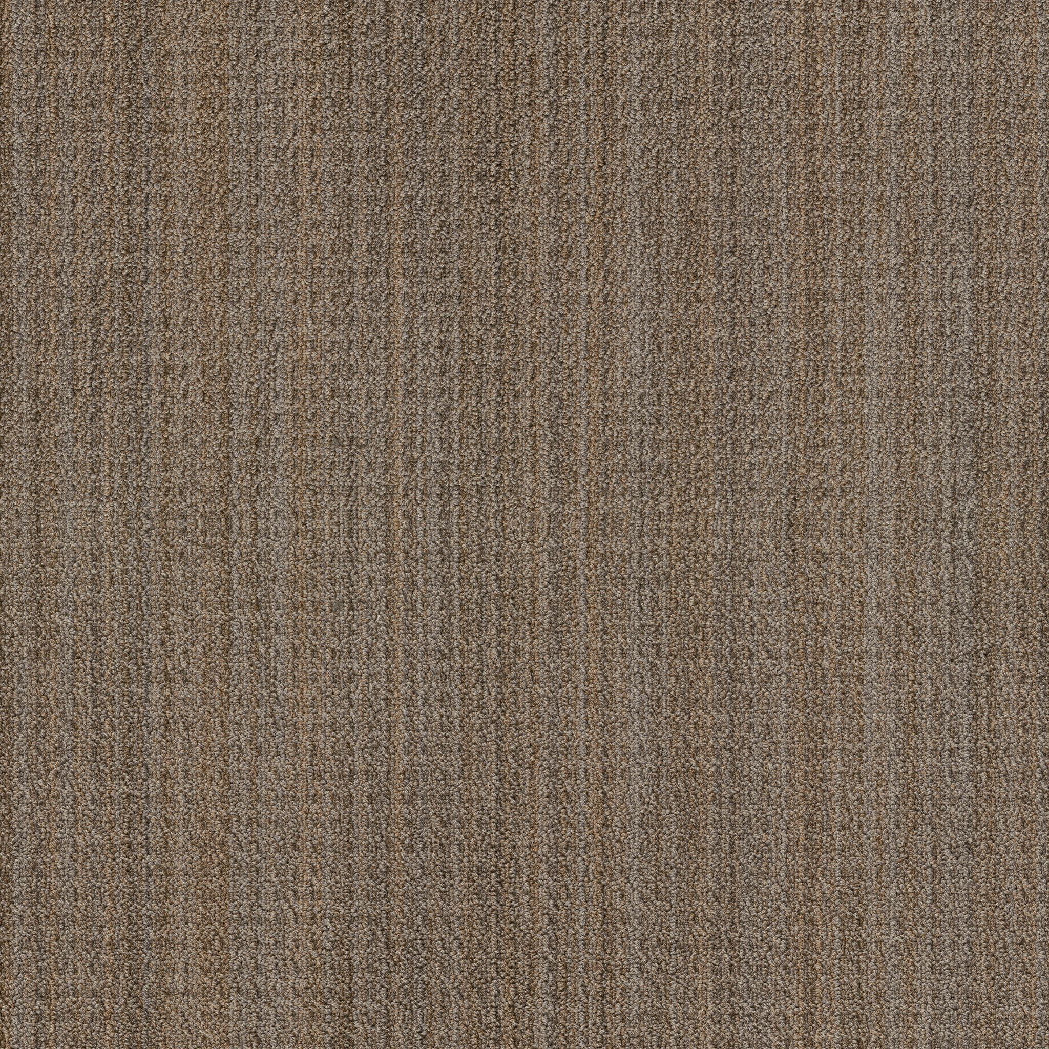 SUNDANCE BUCKAROO MAIN