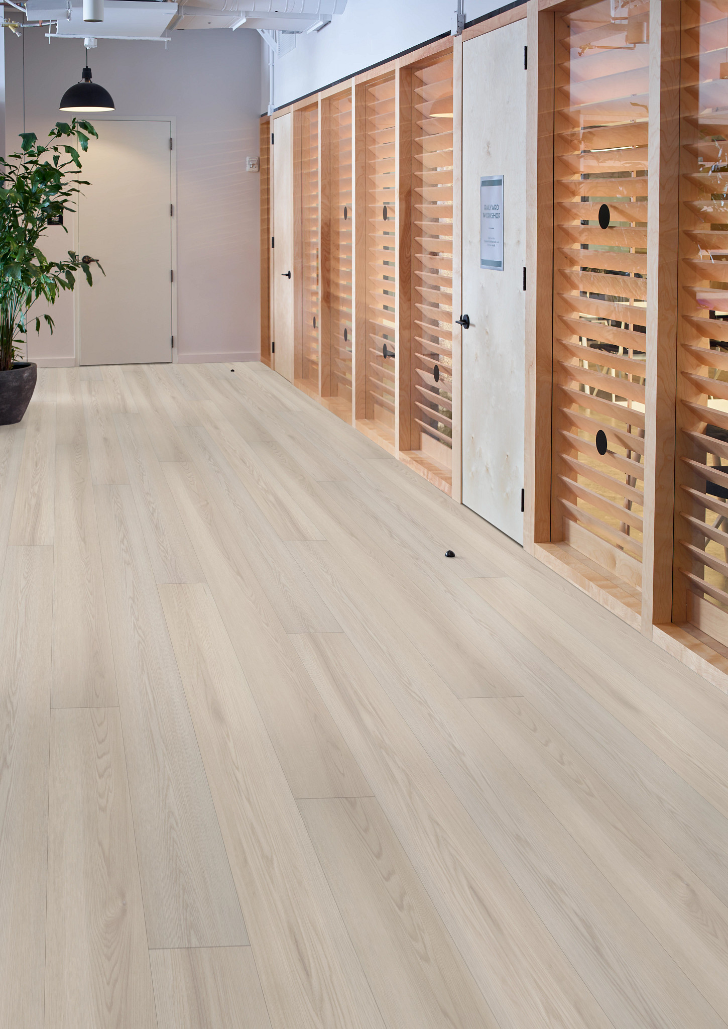 PHILOSOPHER'S TREE 5599V PEBBLE 00106 room image