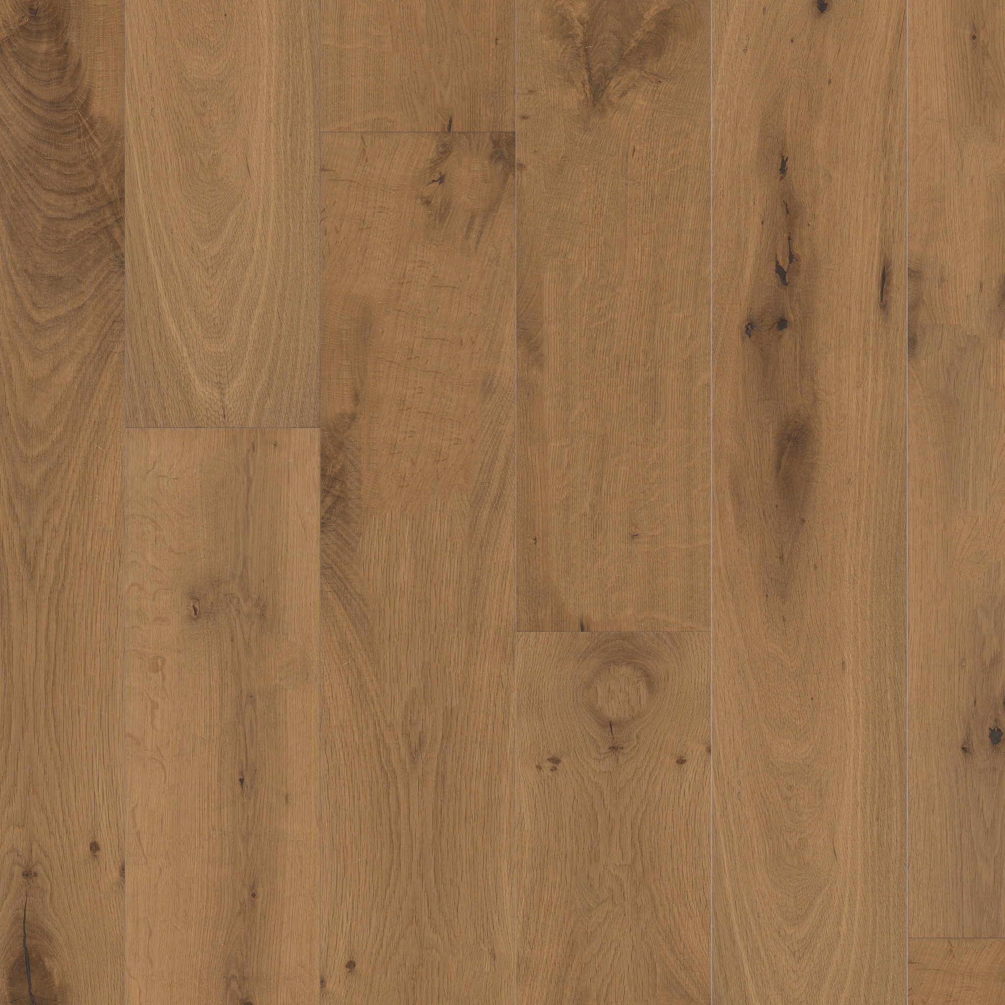 ARTISAN OAK RAW SIENNA MAIN