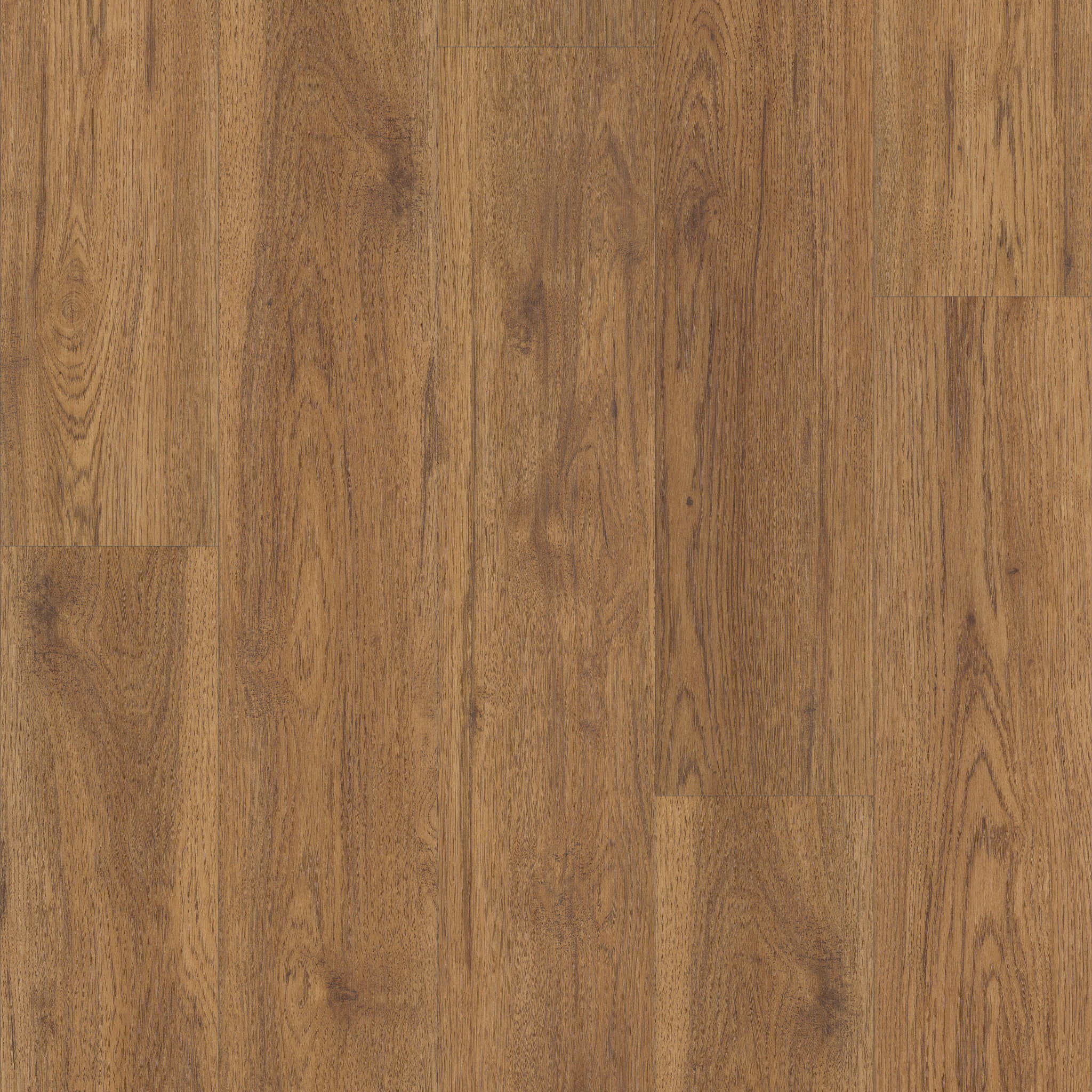 CORETEC ORIGINALS CLASSICS VV024 MARSH OAK MAIN