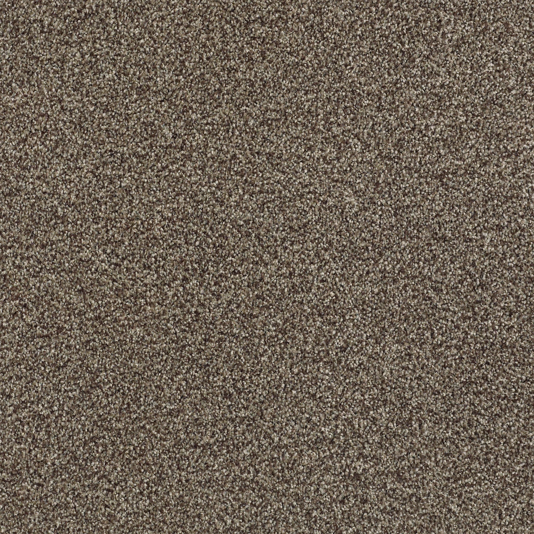 transform-your-space-with-summer-house-experience-the-elegance-and-comfort-of-tonal-carpet-flooring