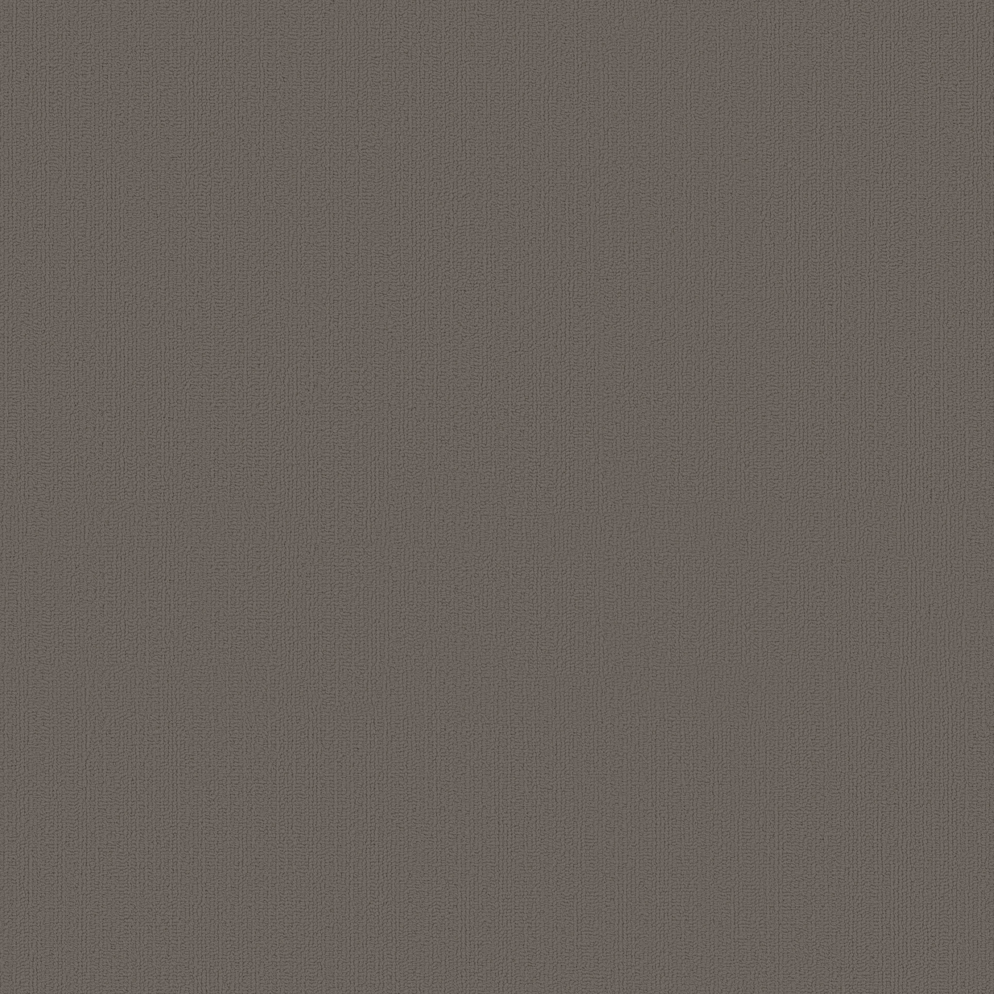 COLOR-ACCENTS-54462-DOLPHIN-62557-main-image