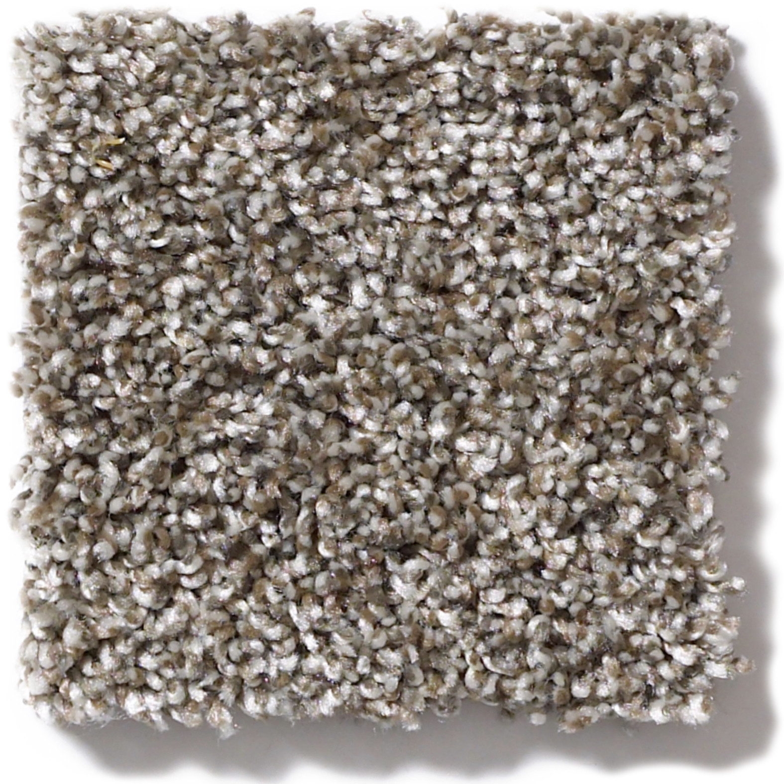 SOFT EFFERVESCENCE NATURE TRAIL SWATCH