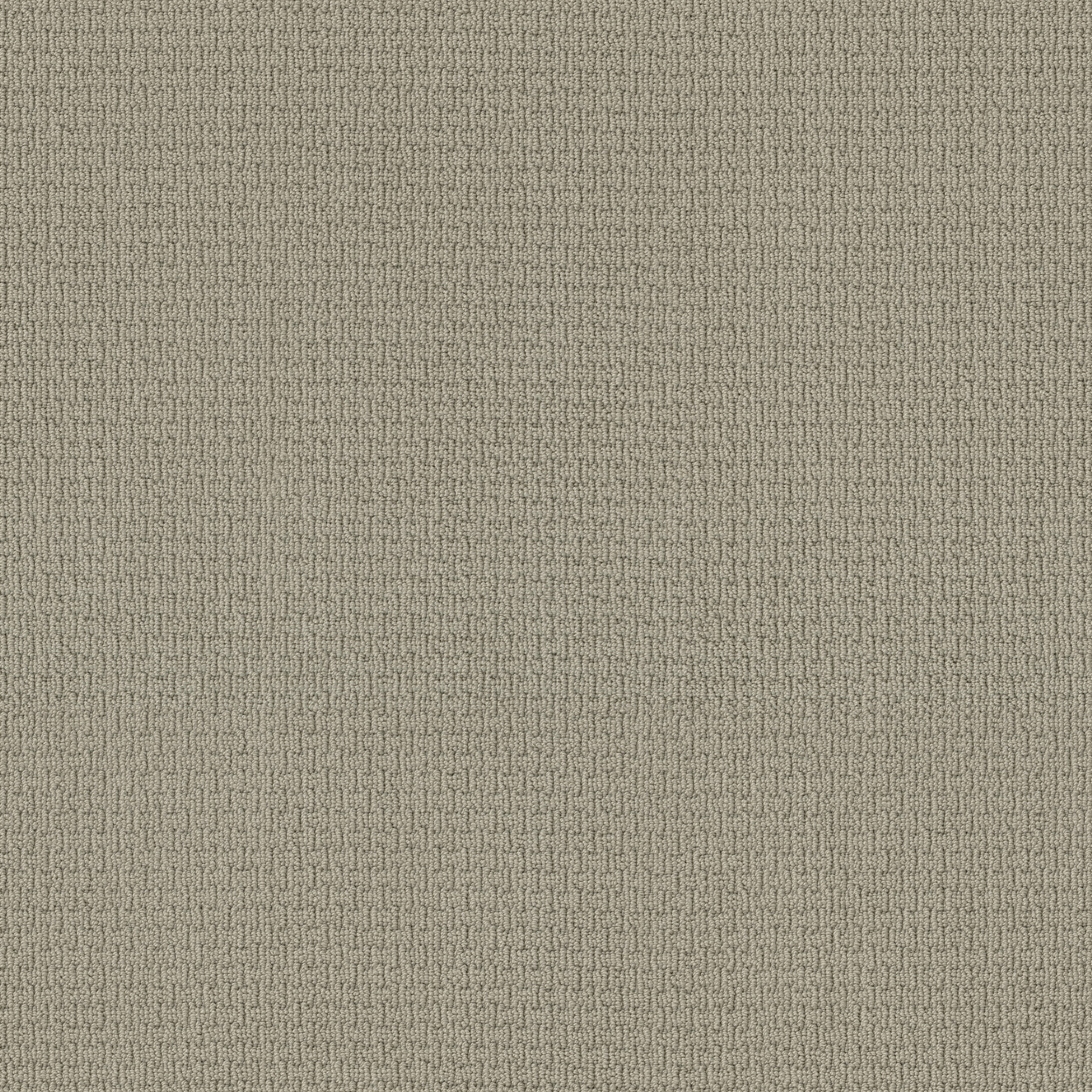 AG WHAT IT TAKES GARDEN PATH MAIN