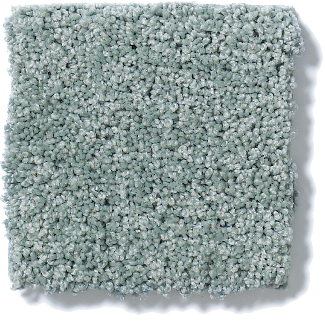 AG TIMELESS CAROLINA SWATCH