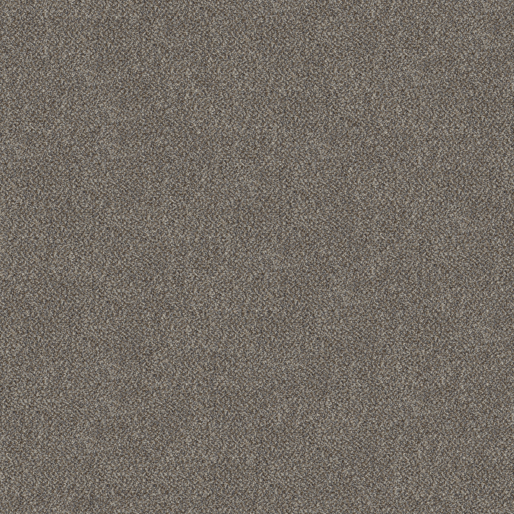 TruSpirit I COBBLE DRIVE MAIN