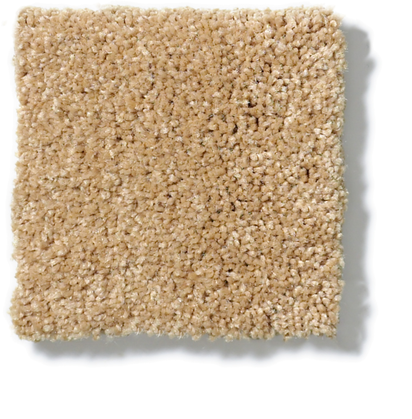 SHINGLE CREEK IV 12' CORK SWATCH