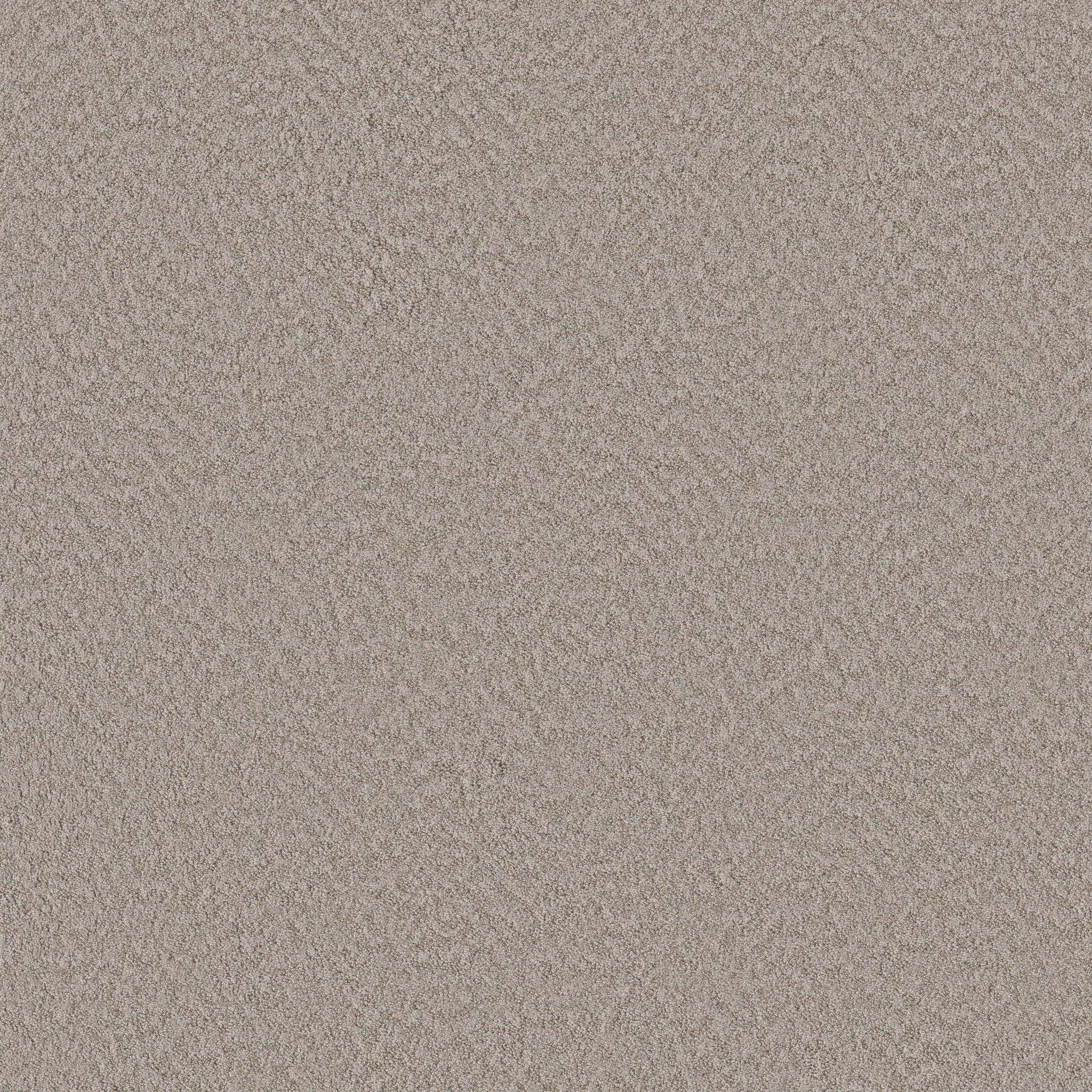 ALLURING CANVAS FOSSIL PATH MAIN