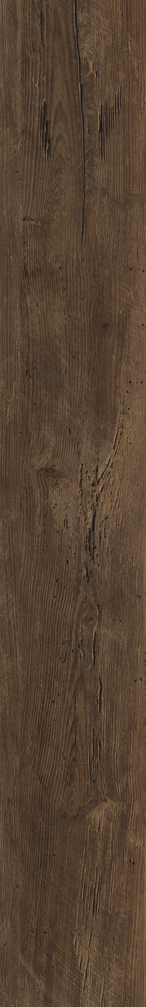Duxbury Oak