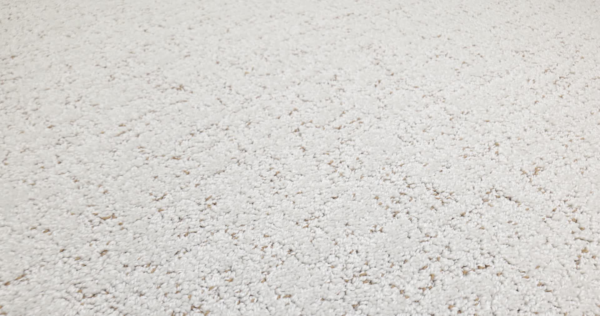 Run Free CASHMERE 360PROD