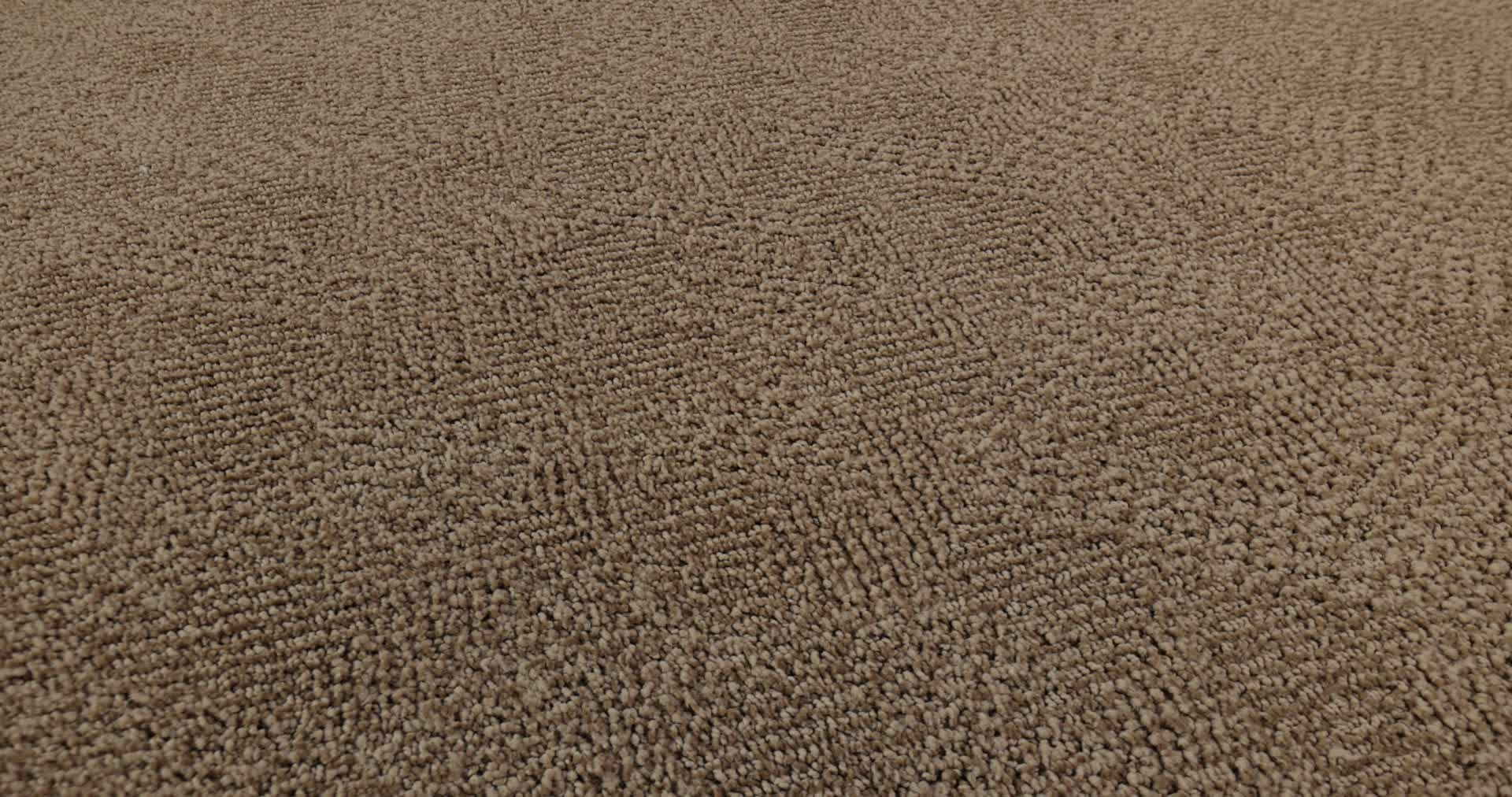 ARIO BAY SHORE 360PROD