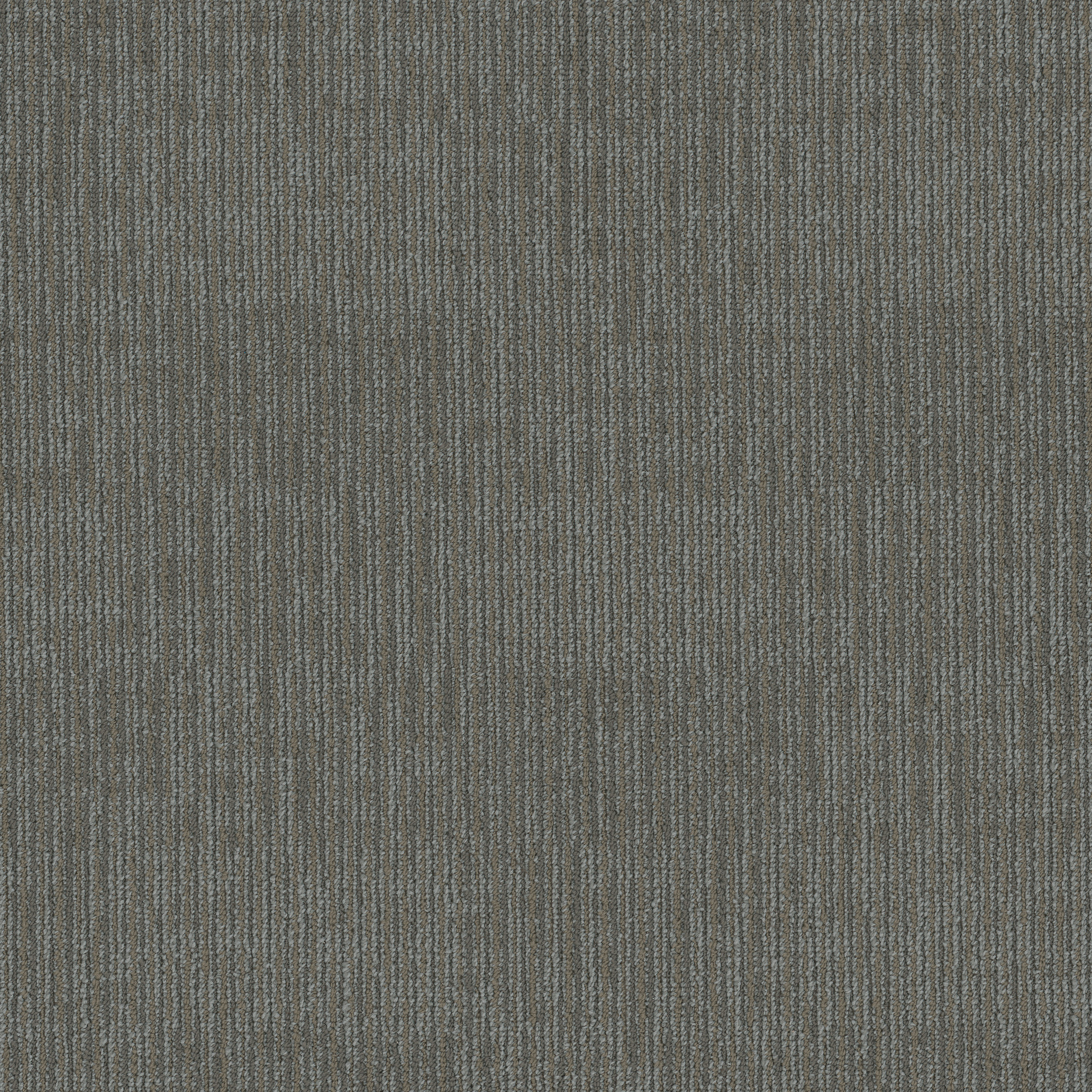 FACT-54907-GOODWILL-00505-main-image