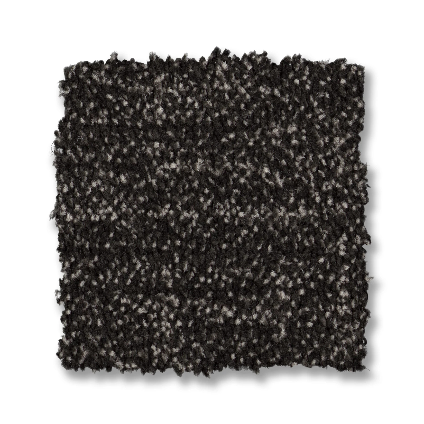 SILHOUETTE EBONY SWATCH