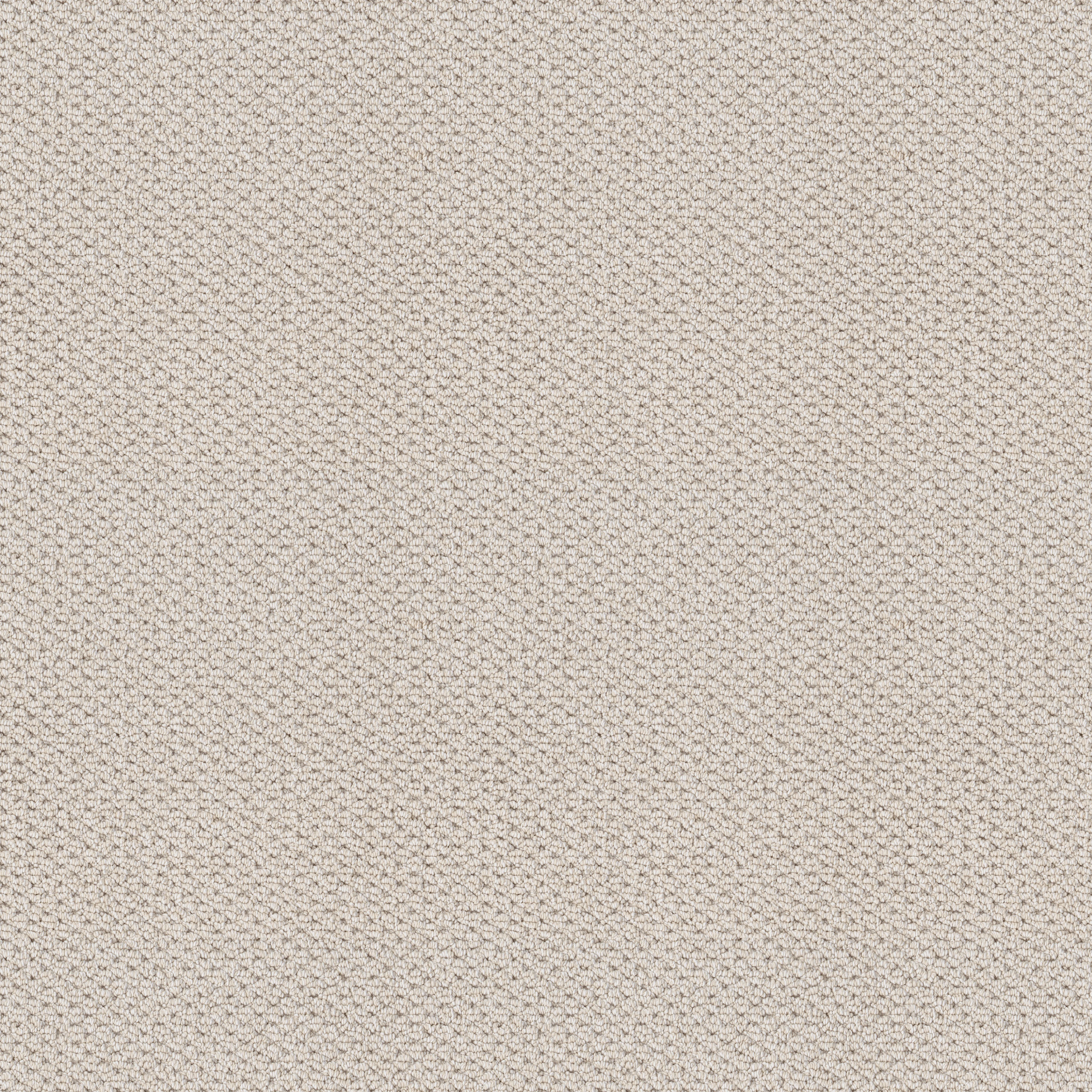 NATURALISTIC GALLERY OPENING MAIN