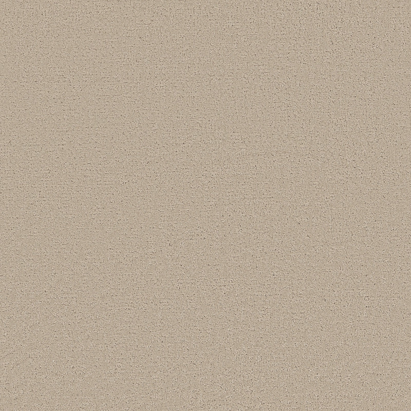 CANVAS COMFORT in My Haven by Shaw Floors