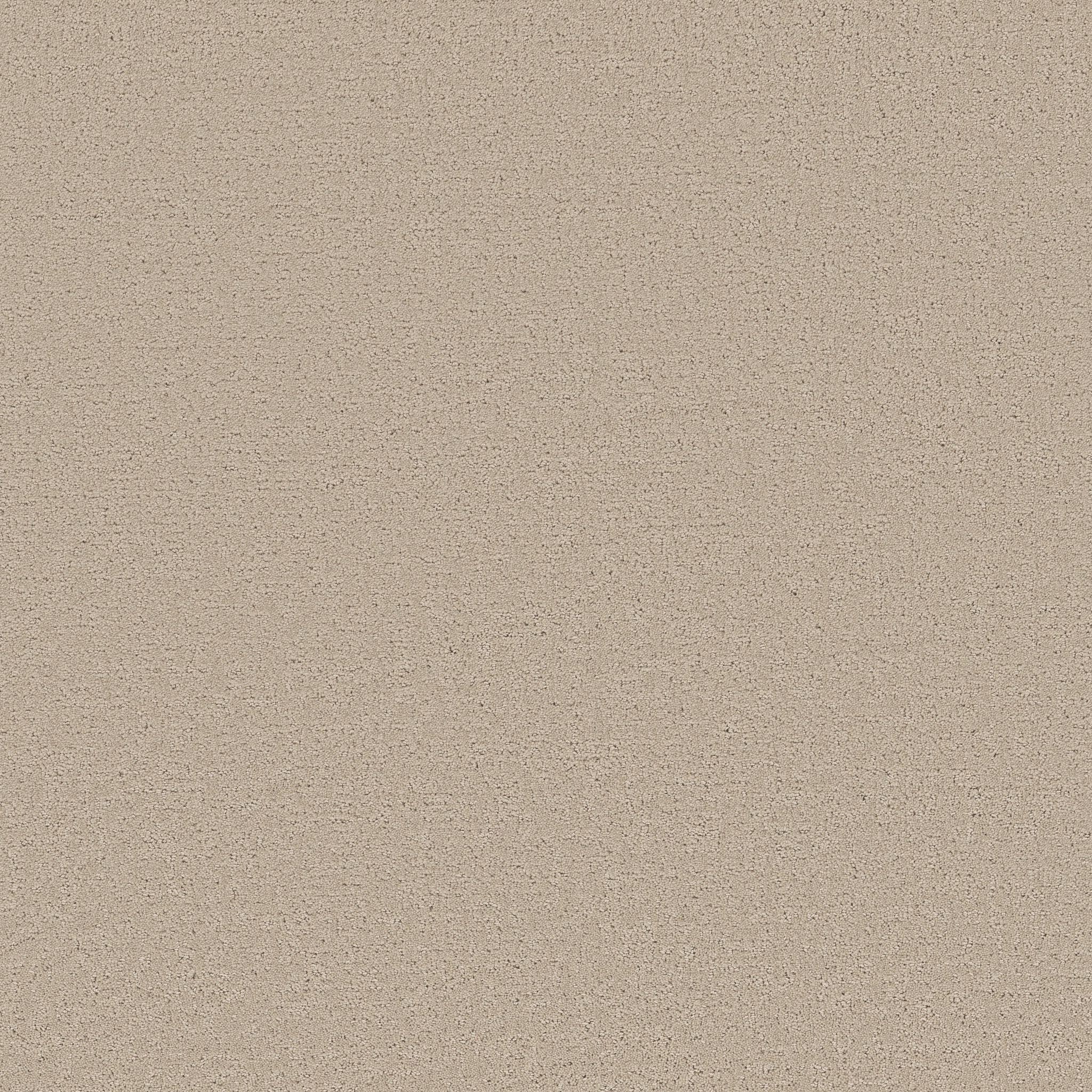 REFINED CANVAS MY HAVEN MAIN