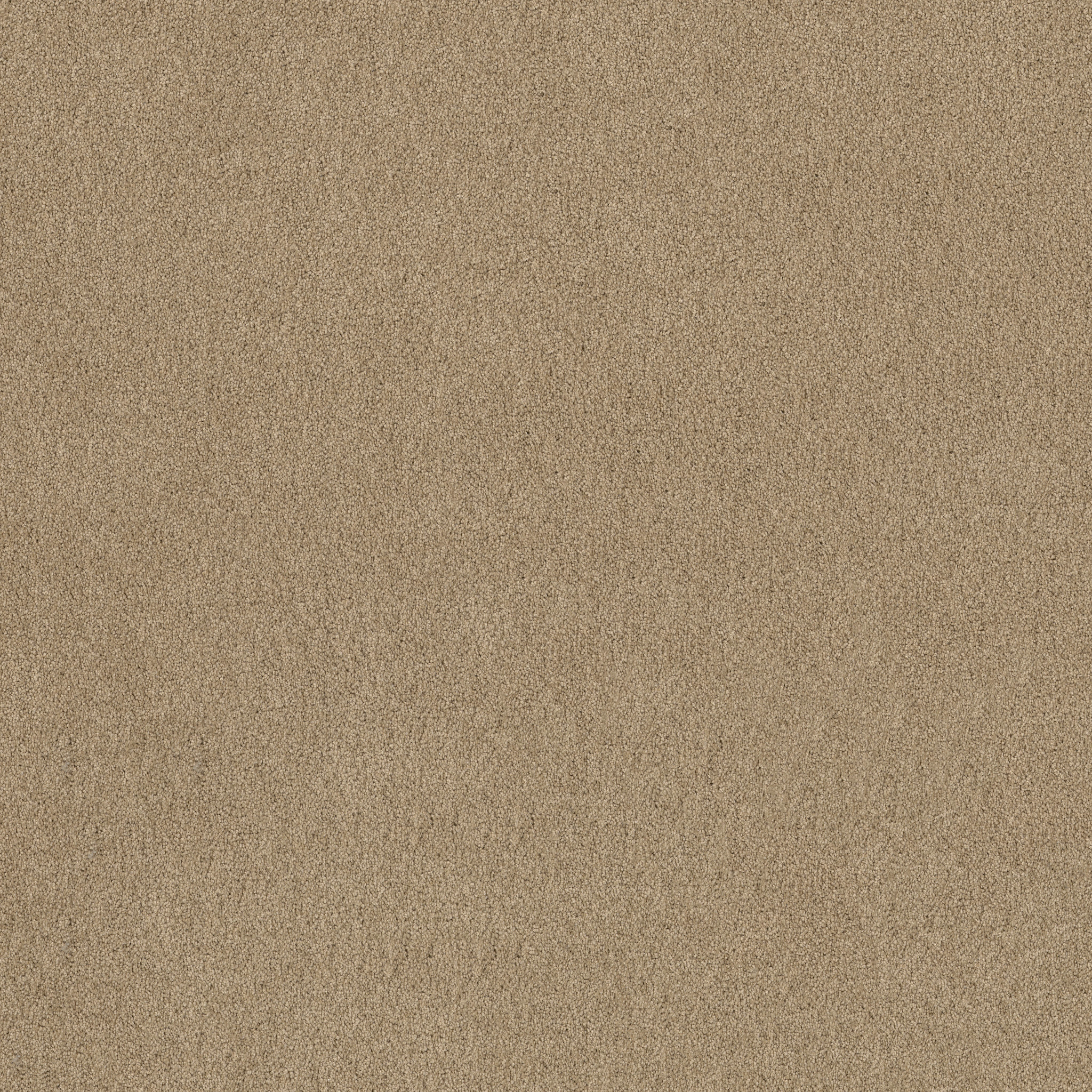 HARLEY STREET I HUMUS MAIN