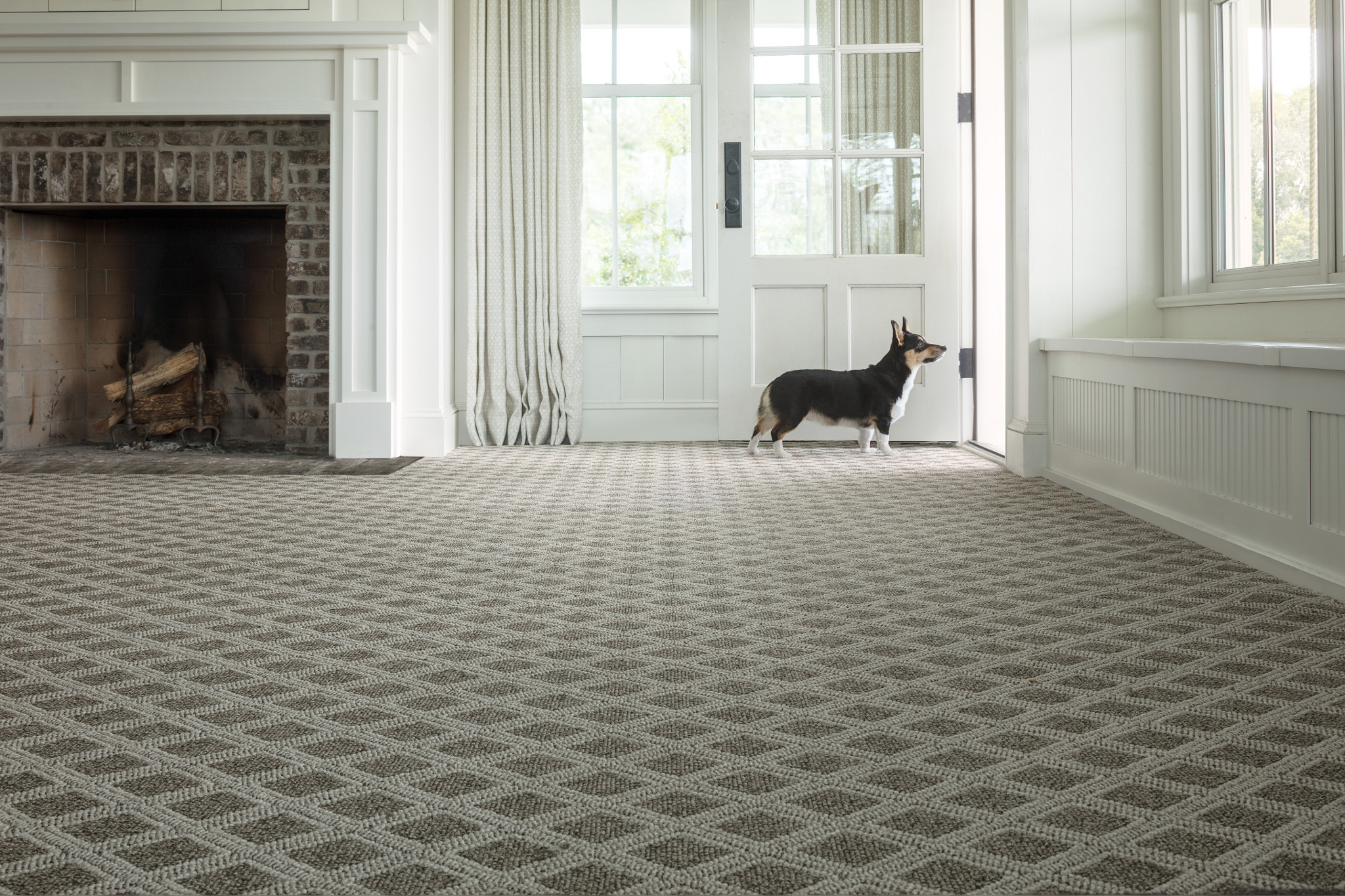 SCOUT DESERT PALM StaticImage06