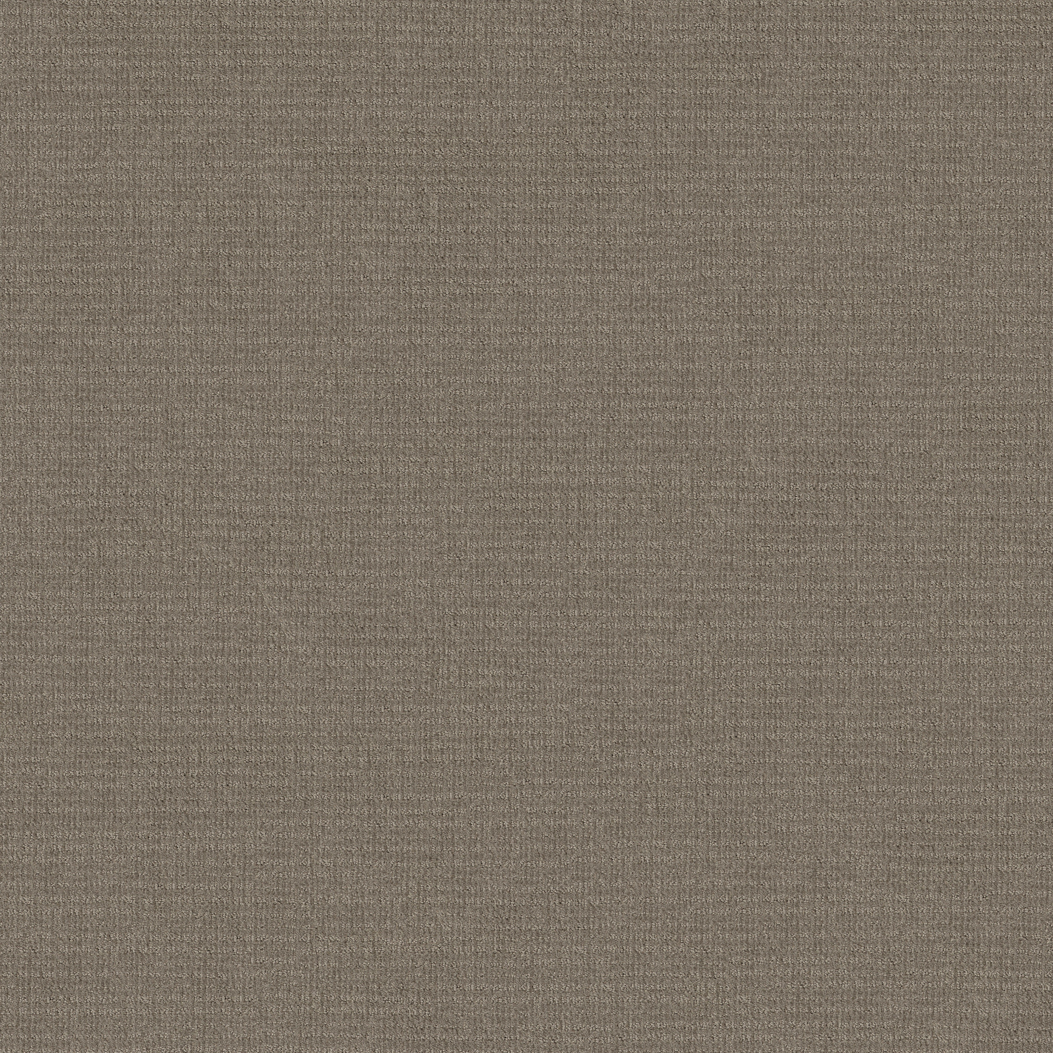 SENSIBLE NOW ABBEY STONE MAIN