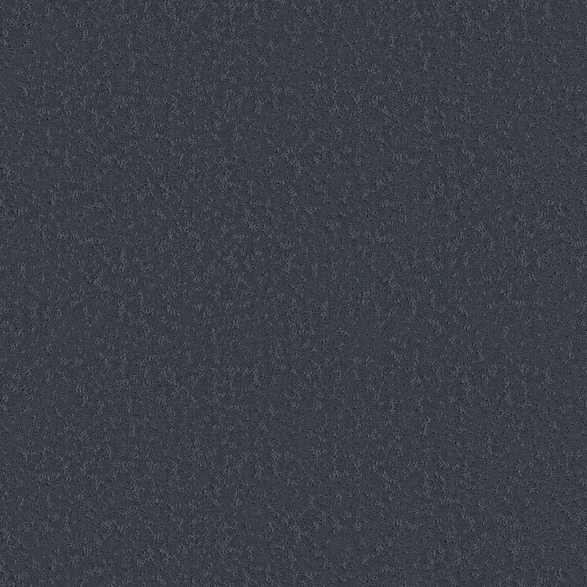 Shaw Floors CLEVER CHOICE — DEEP ATLANTIC