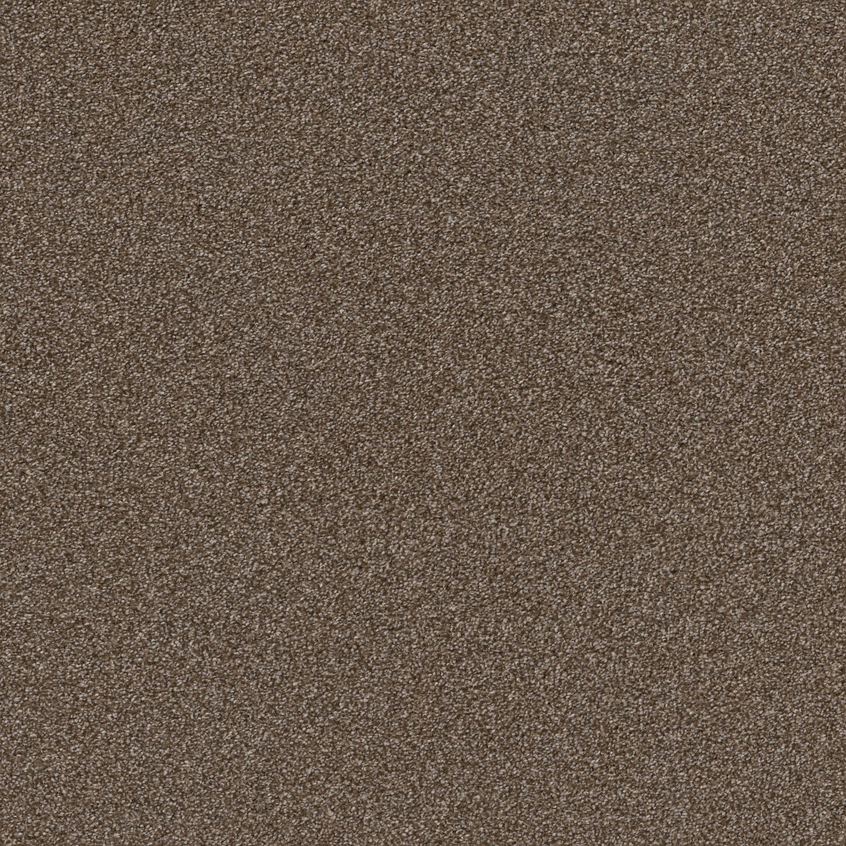 Shaw Floors TruSpirit II — CHESTNUT