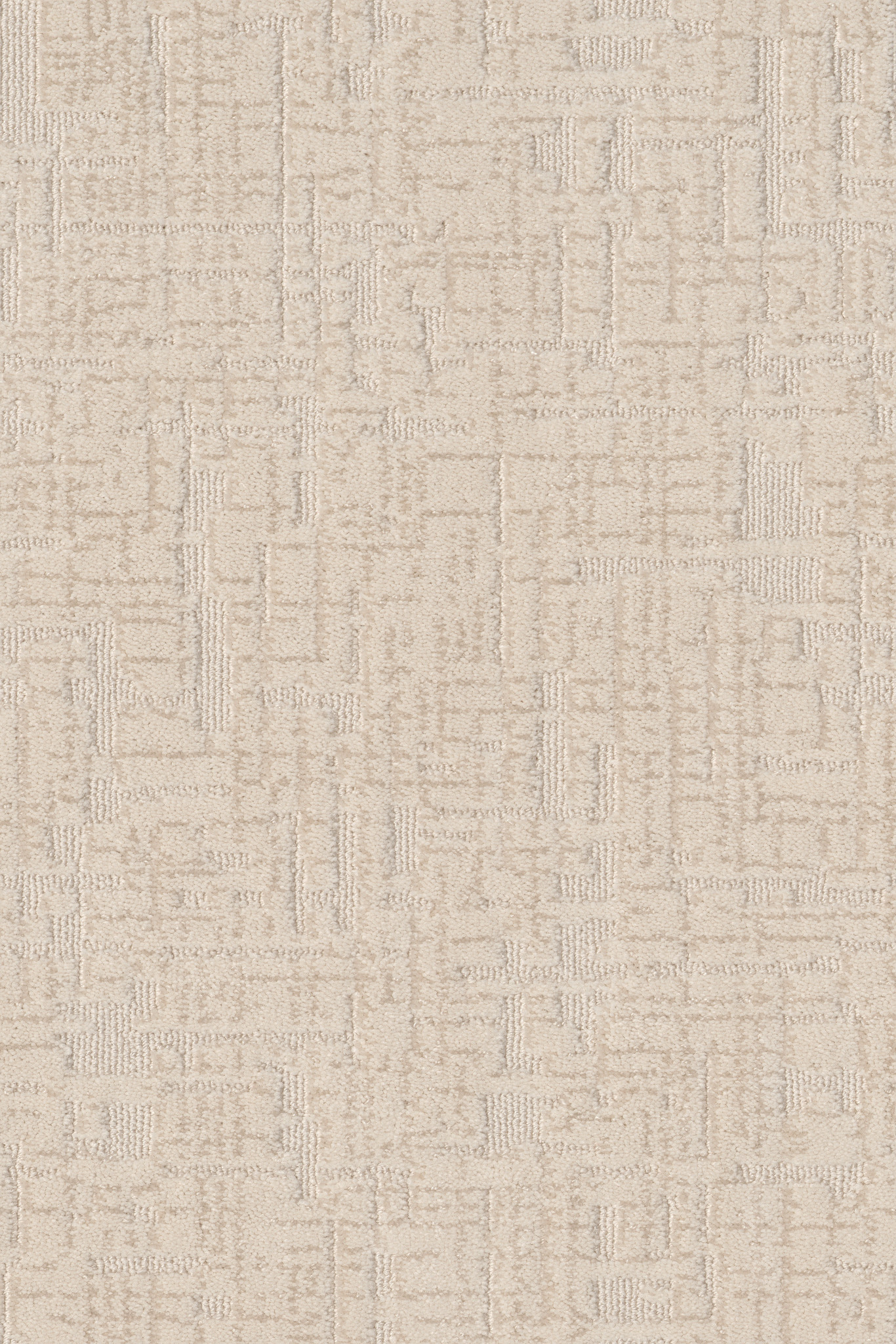 PRIVATE RETREAT DAYLILY MAIN