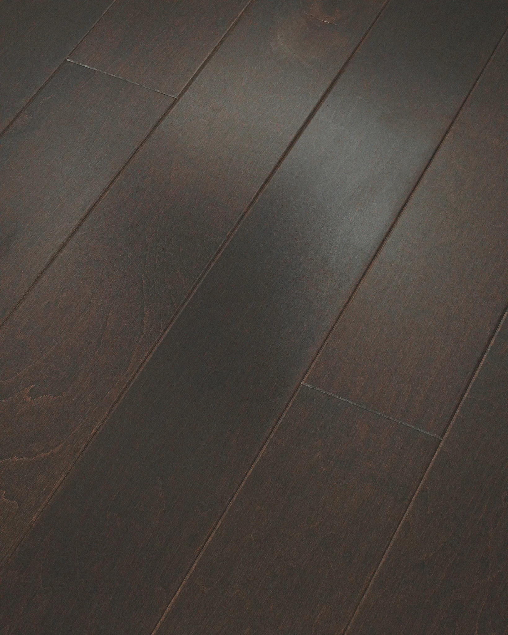 OCALA BAYFRONT ANGLED